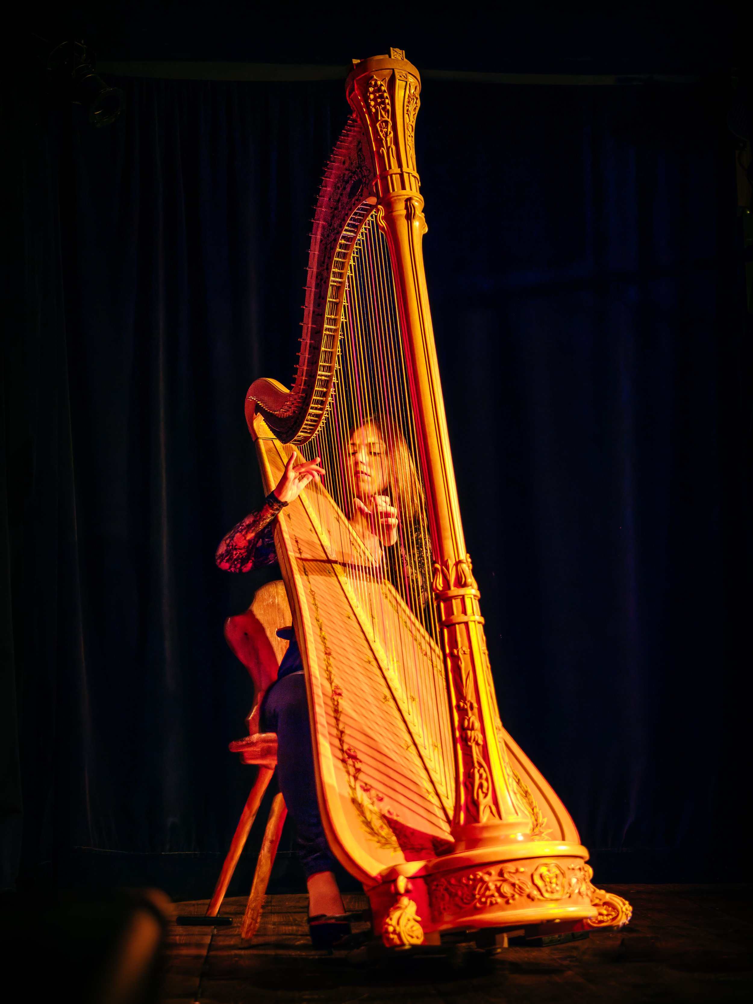 Full Harp Shot (1).jpg