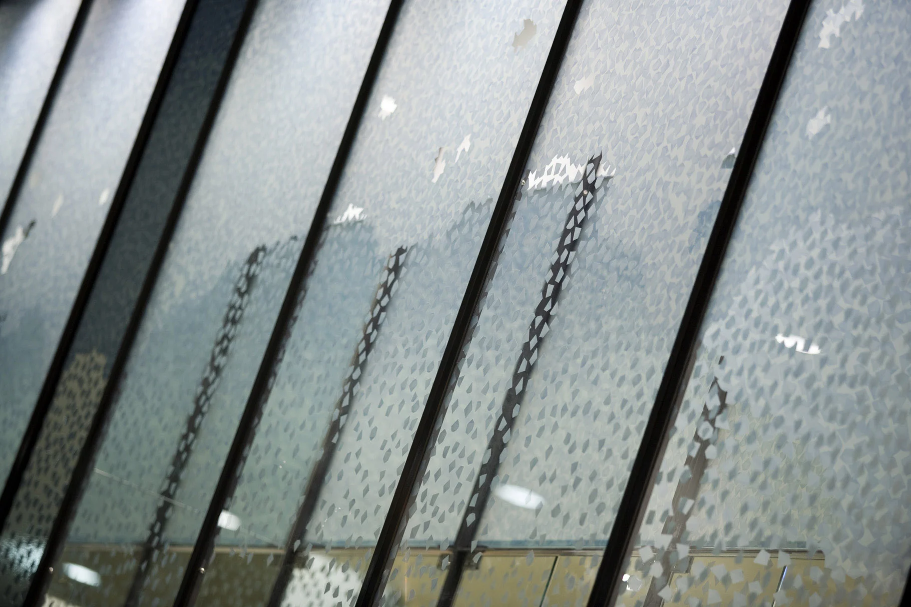 _MG_0042_1 low res.jpg