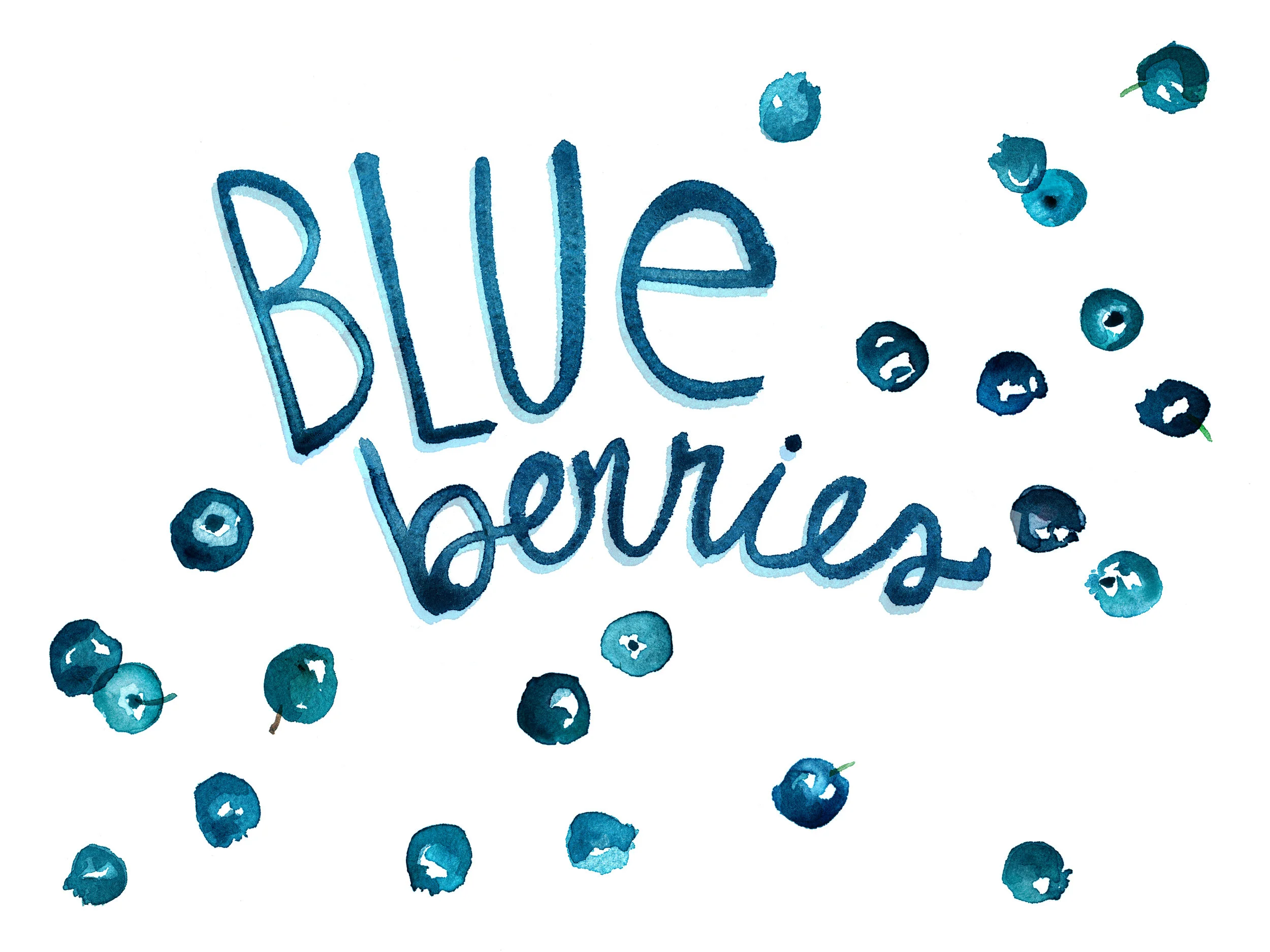 Blueberries watercolor illustration.jpg
