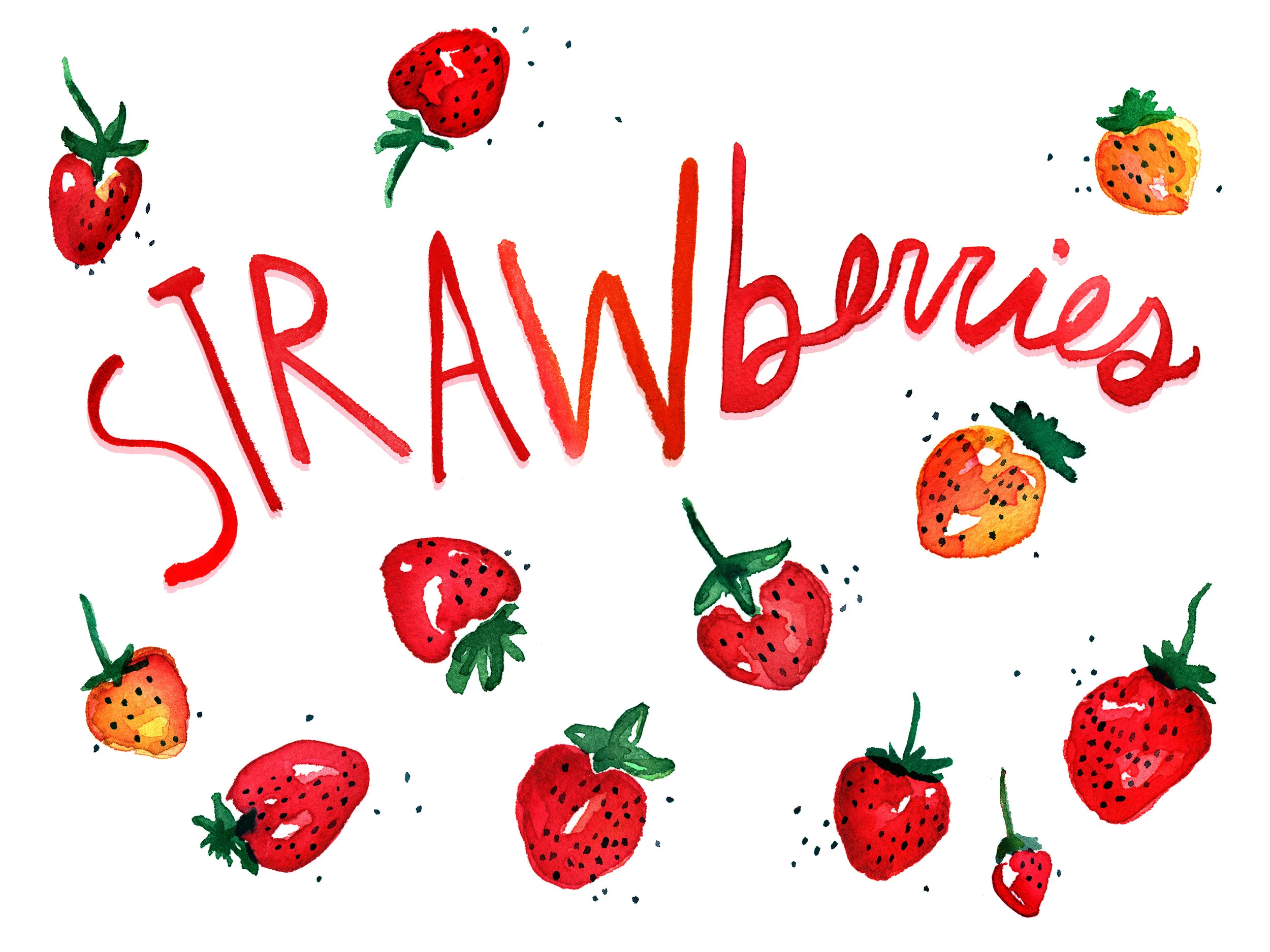 Strawberries_ watercolor illustration.jpg