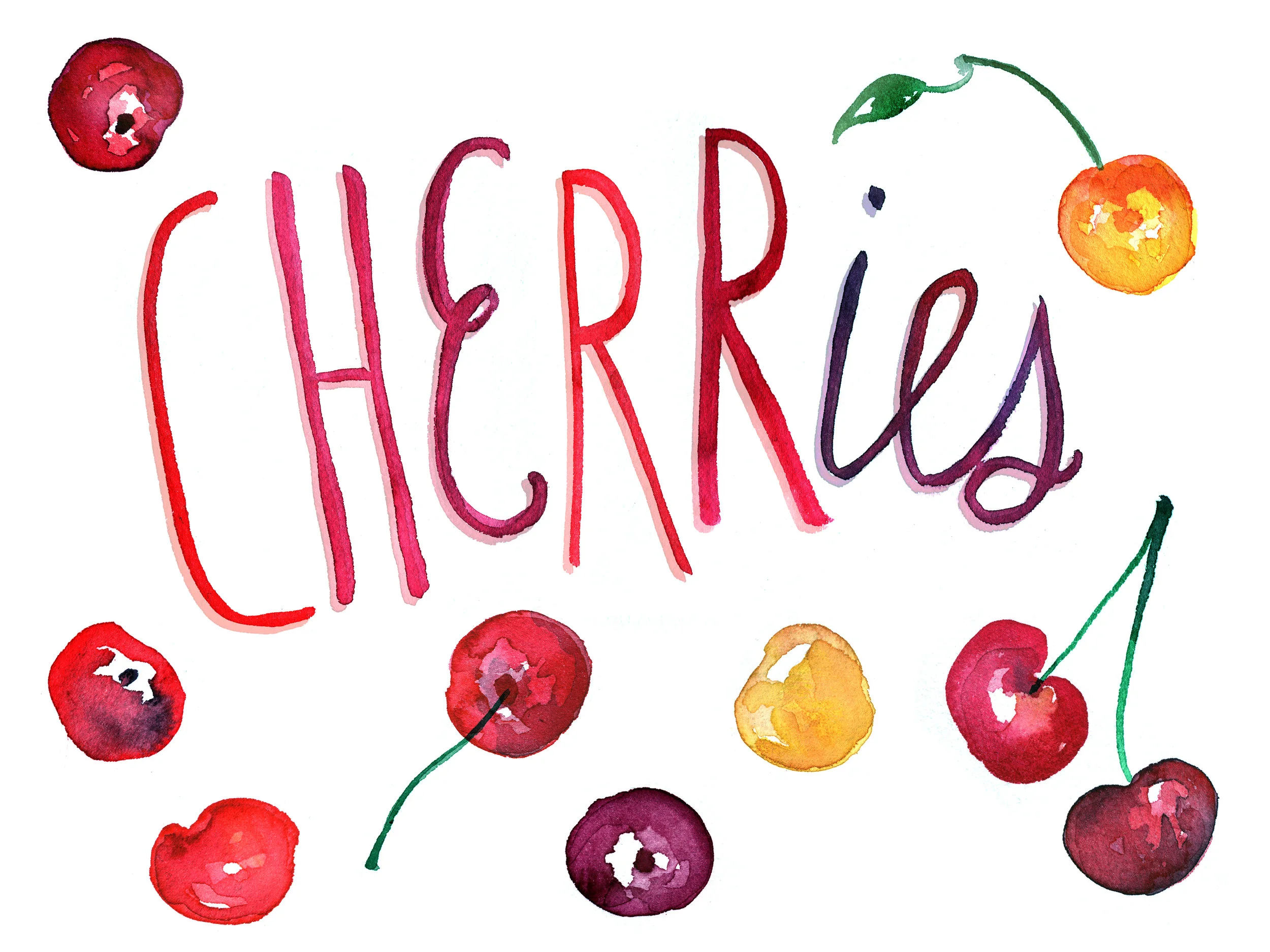 Cherries watercolor illustration.jpg