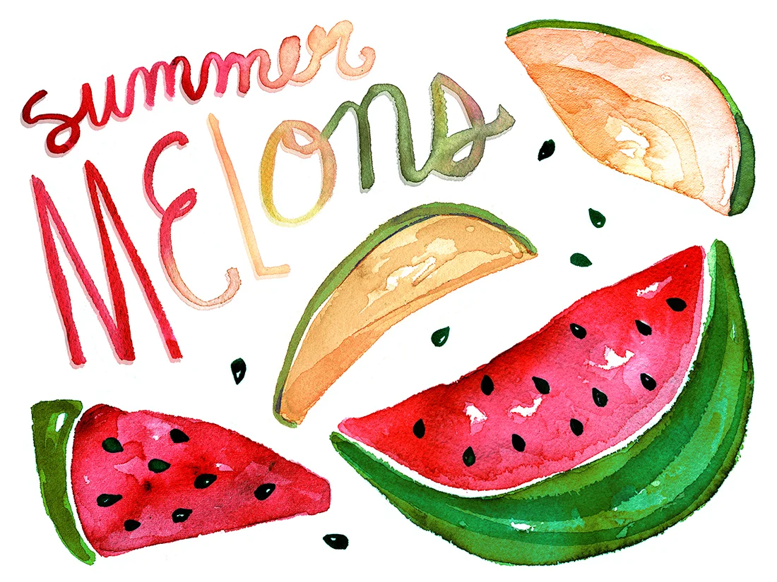 summer melons illustration.jpg