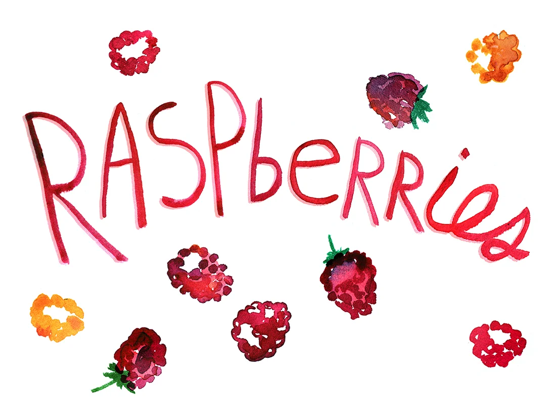 Raspberries watercolor illustration.jpg