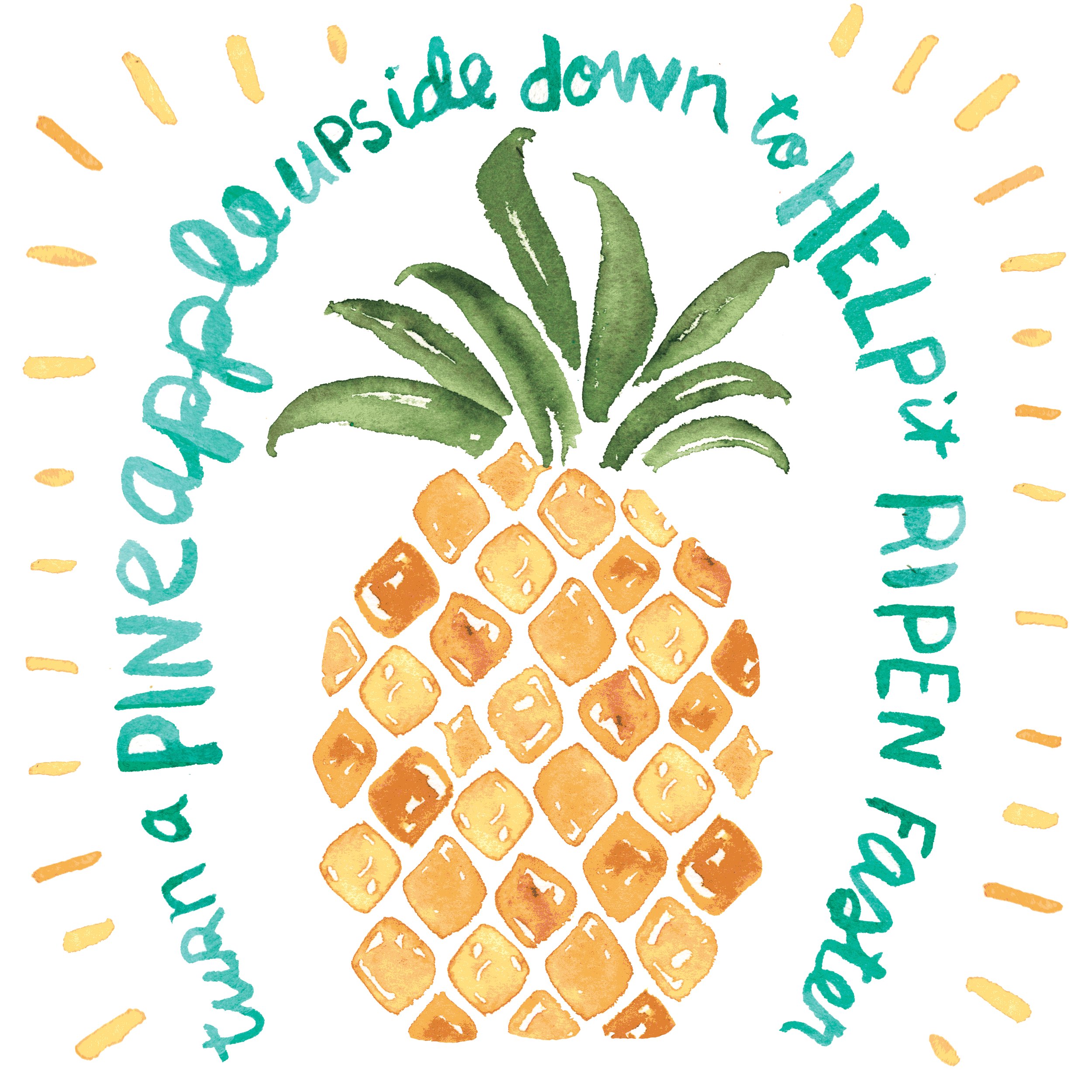 pineapple_merged-for-video.gif