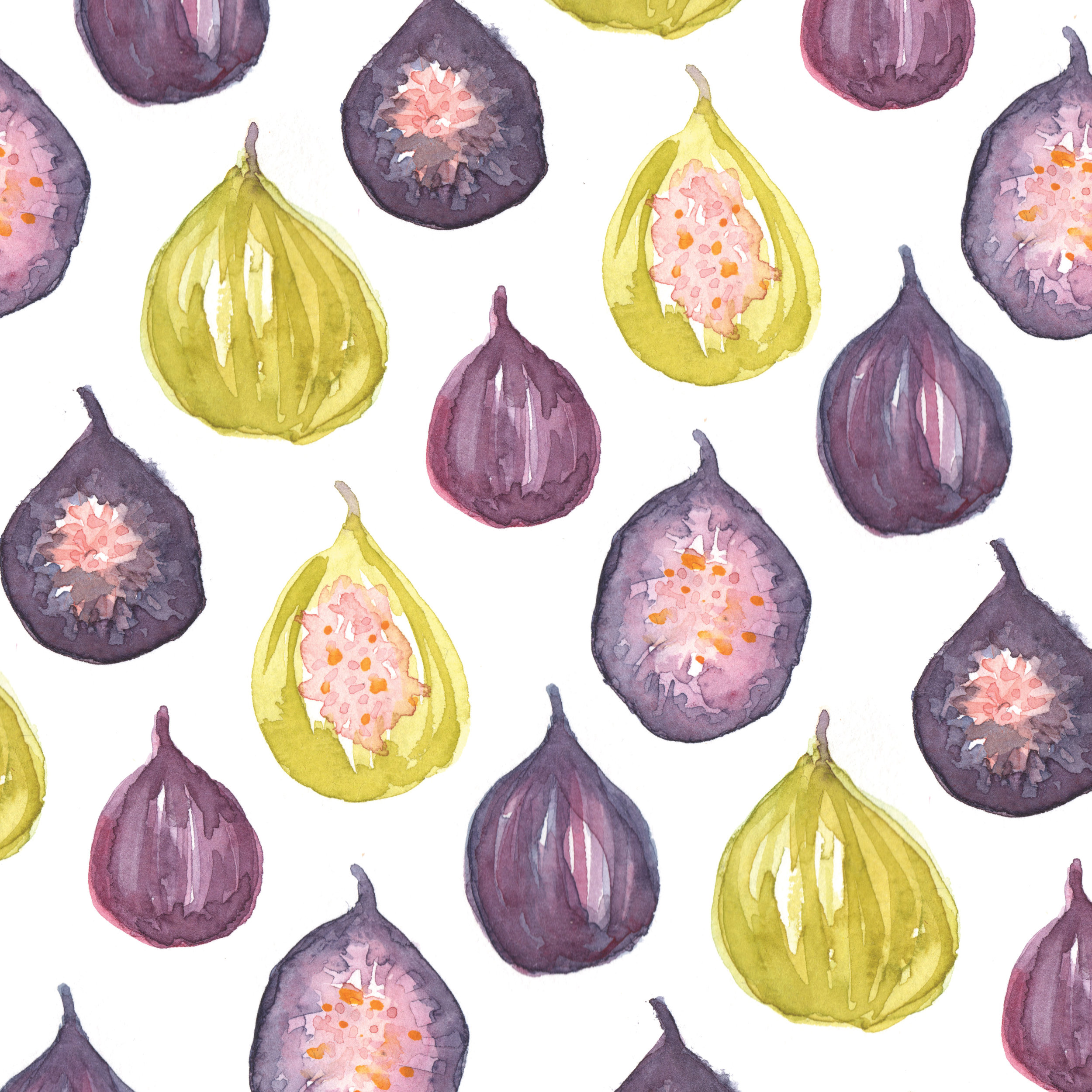 fig-pattern_1.jpg