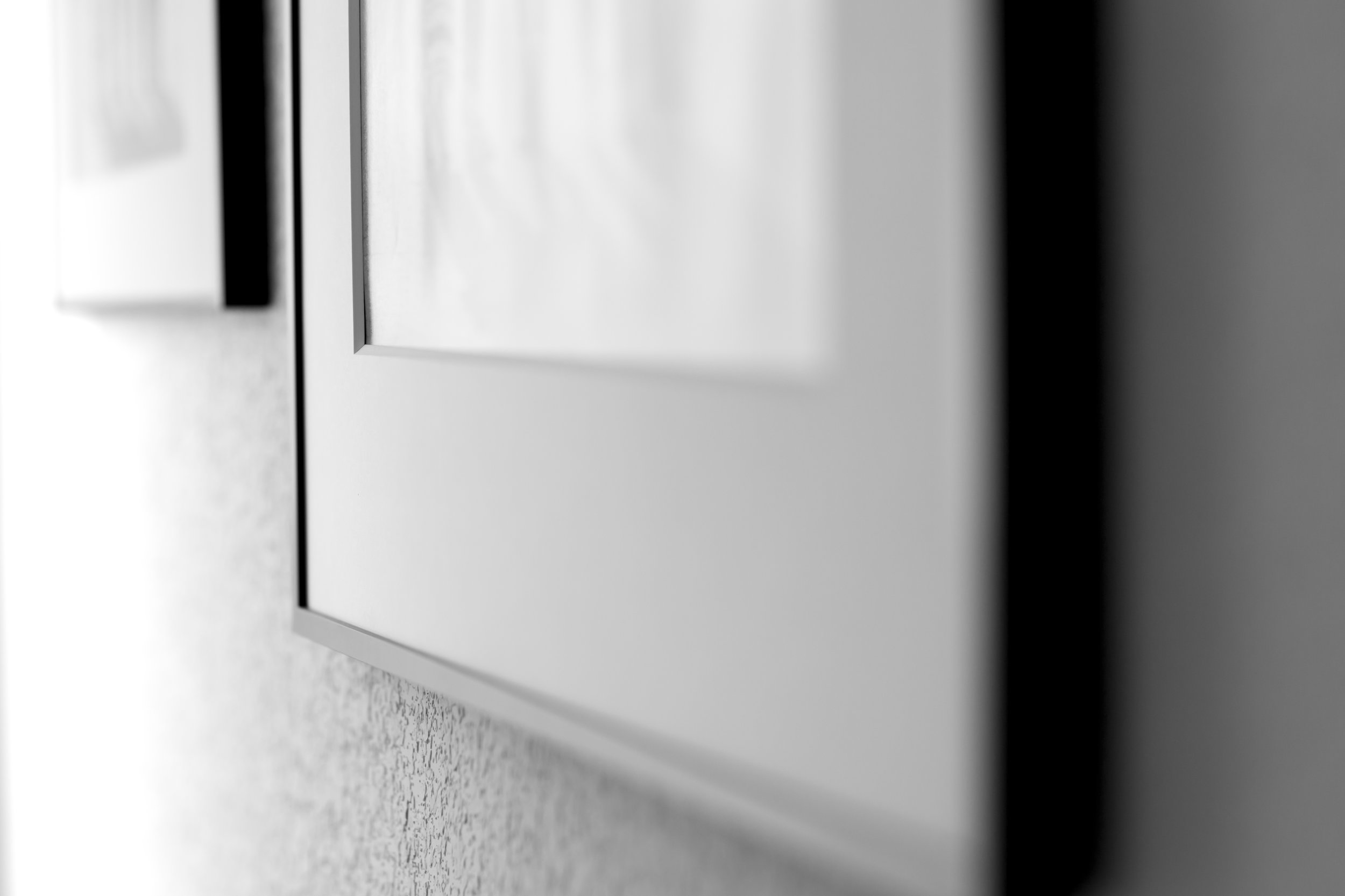 alex-shelley-photography-portraits-custom-frames-gallery-wall-designs-dfw-fort-worth-framers.jpg