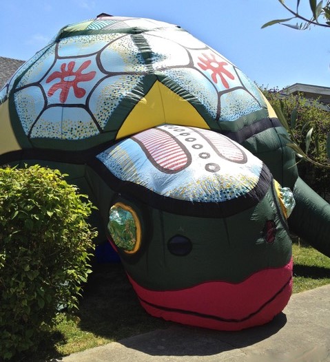 turtle exterior cropped.jpeg