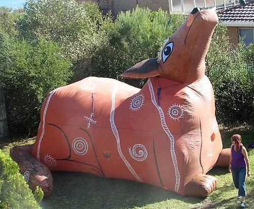 COYOTE Cropped.jpg