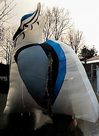 JackassPenguin.jpeg