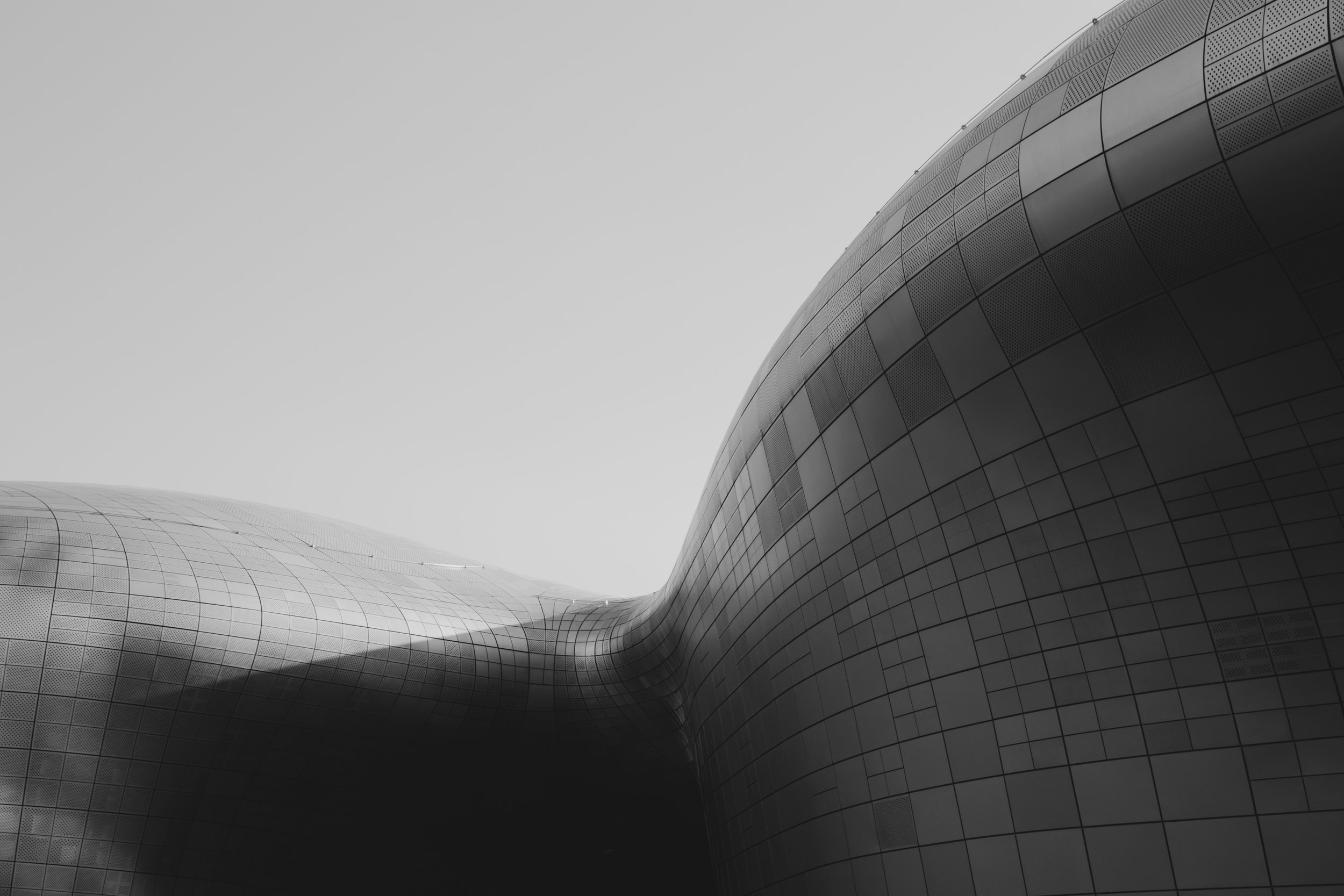 _MG_2862.jpg
