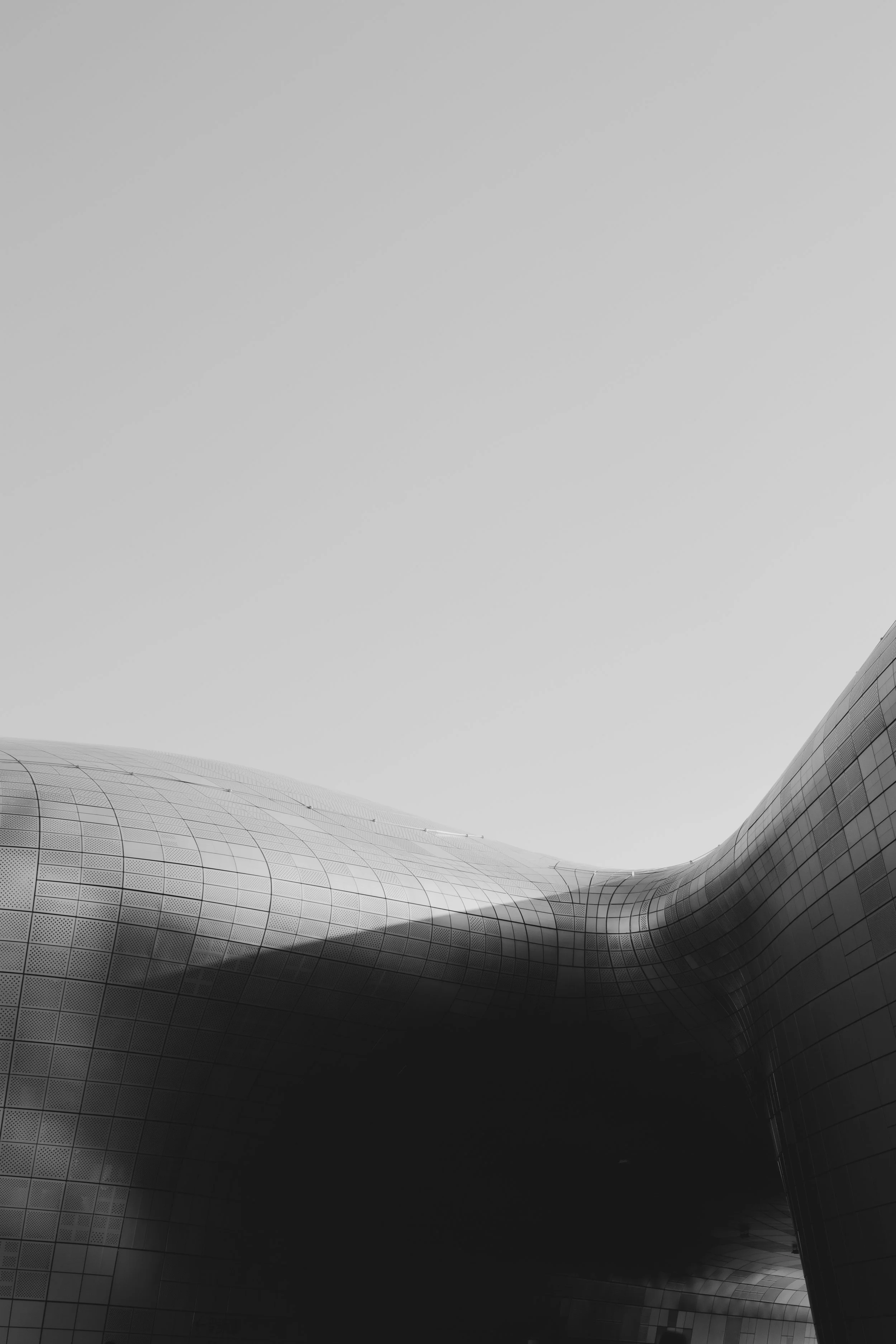 _MG_2864.jpg