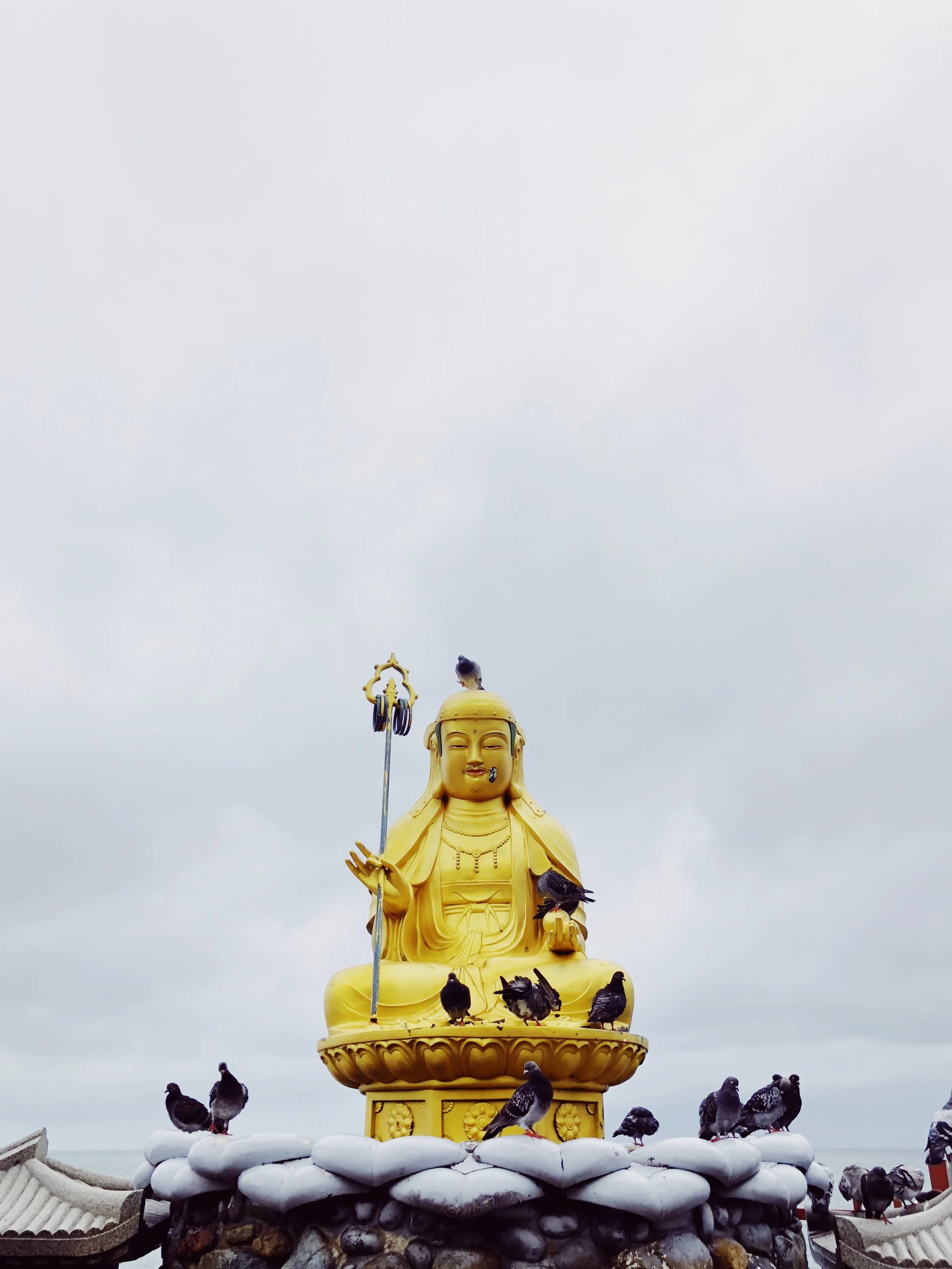 C771BE3F-EB72-41B1-B812-8158218A7A65.JPG