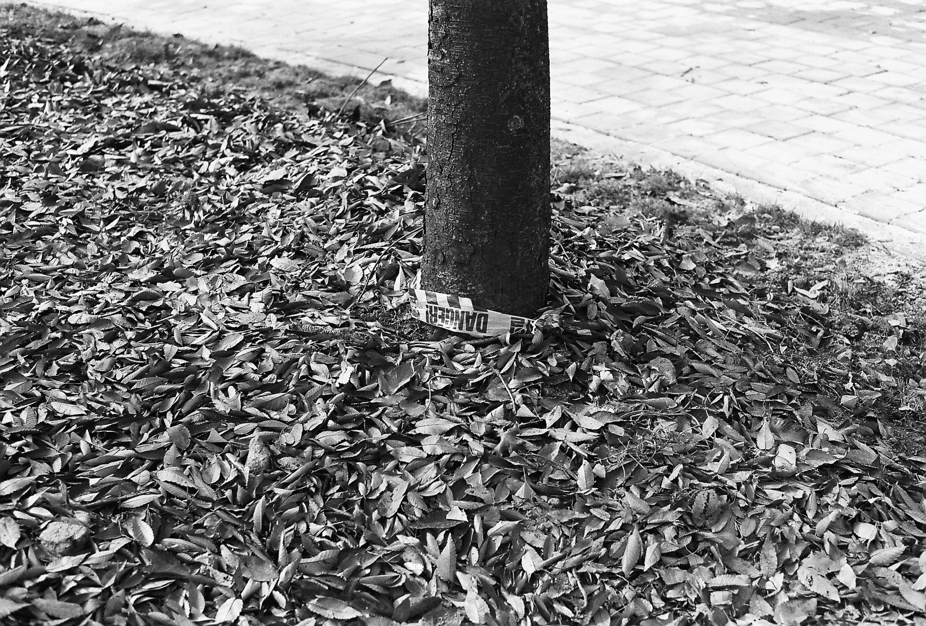 1542171522.jpg