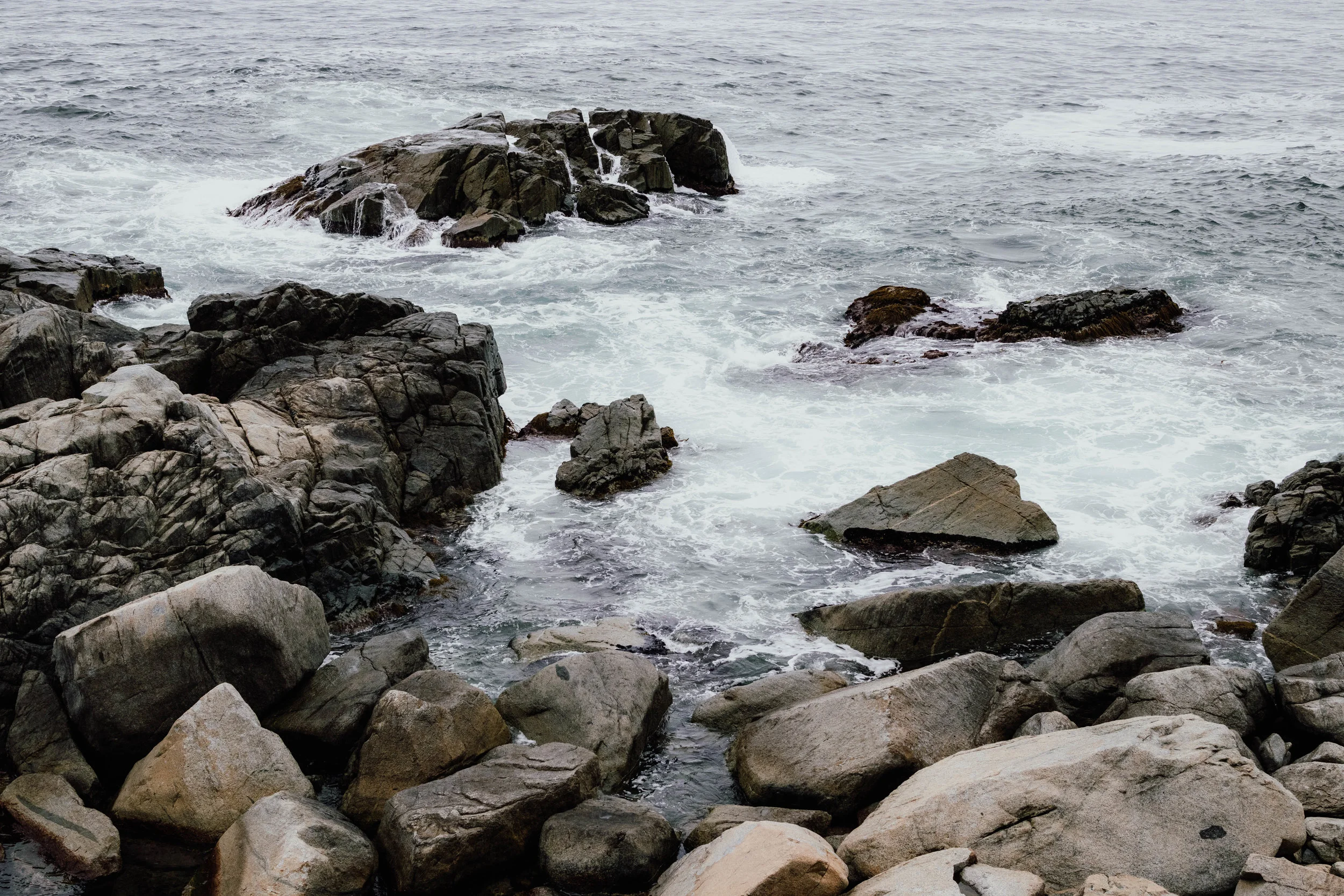 _MG_8901.jpg