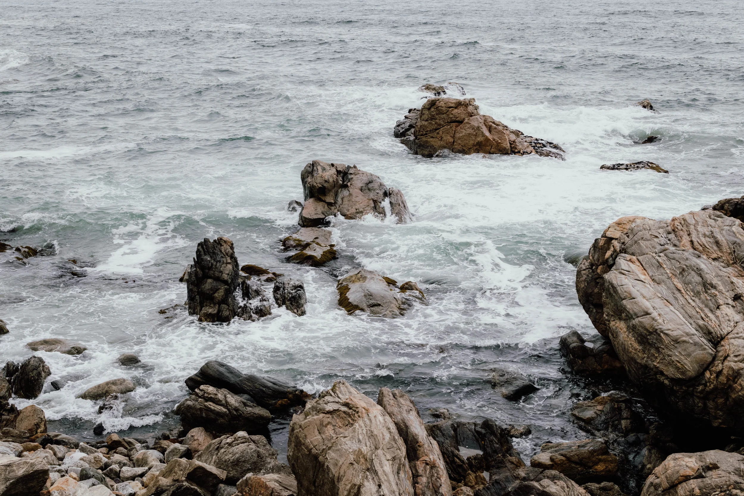 _MG_8771.jpg