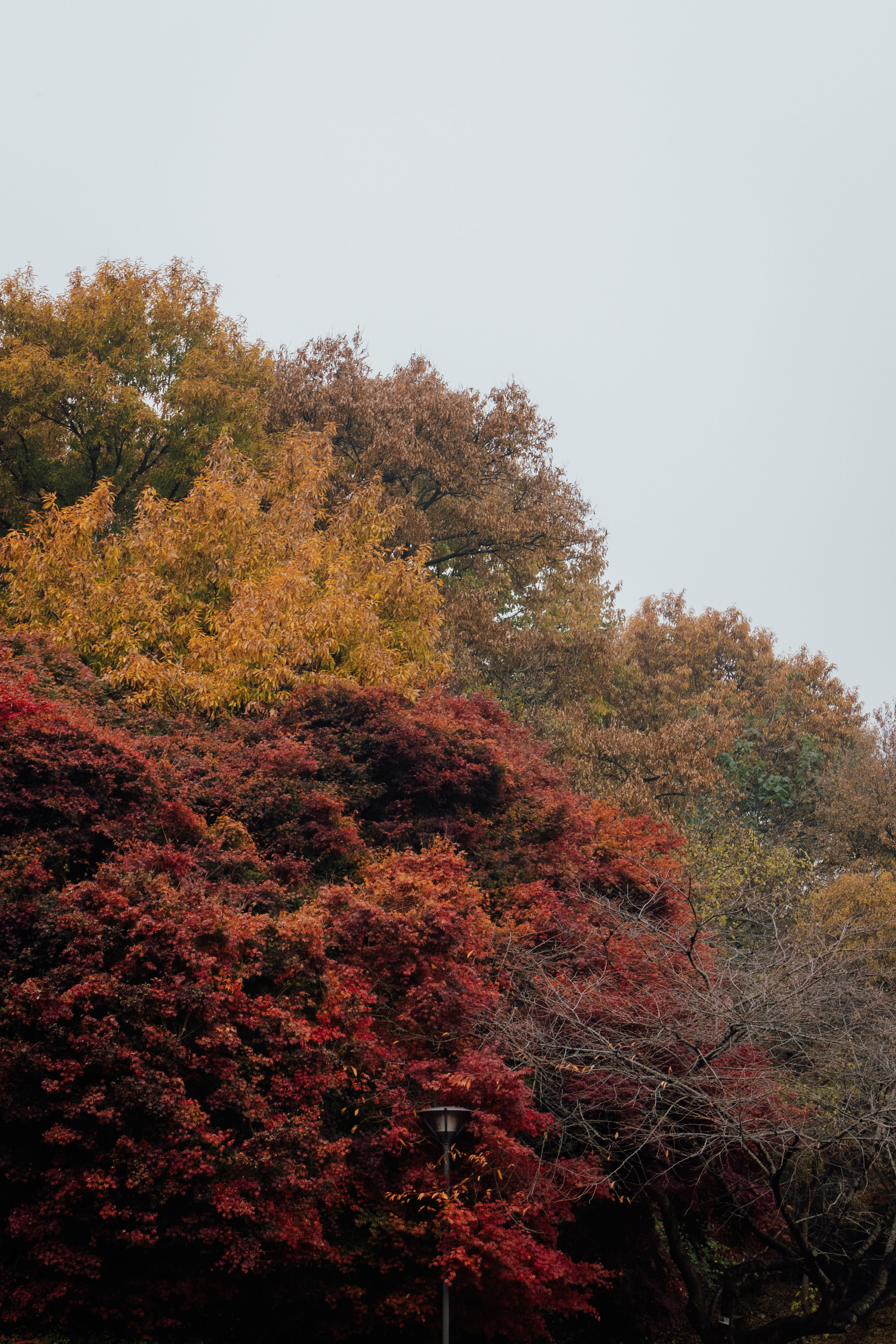 _MG_7618.jpg