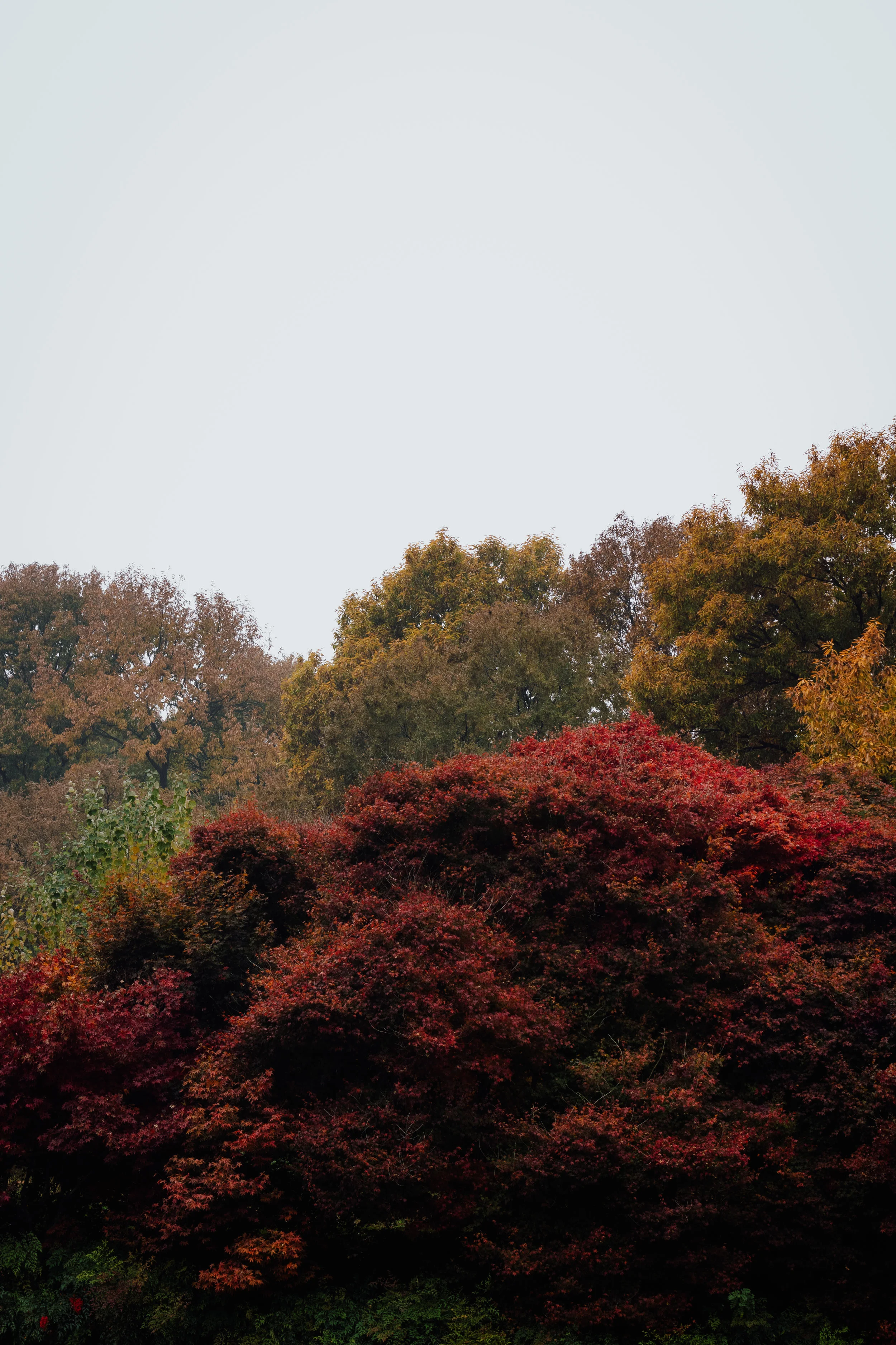 _MG_7614.jpg
