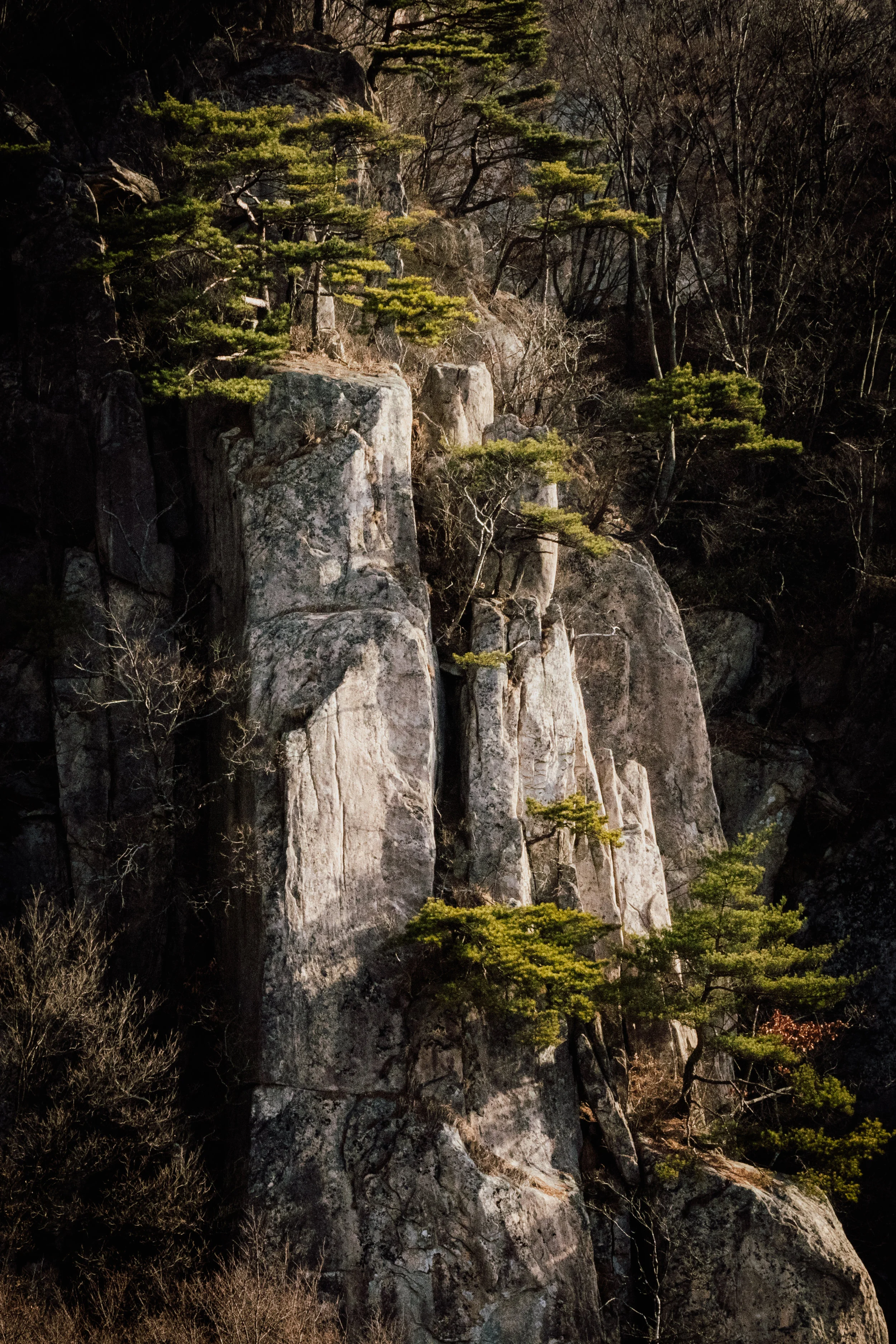 _MG_7945.1.jpg