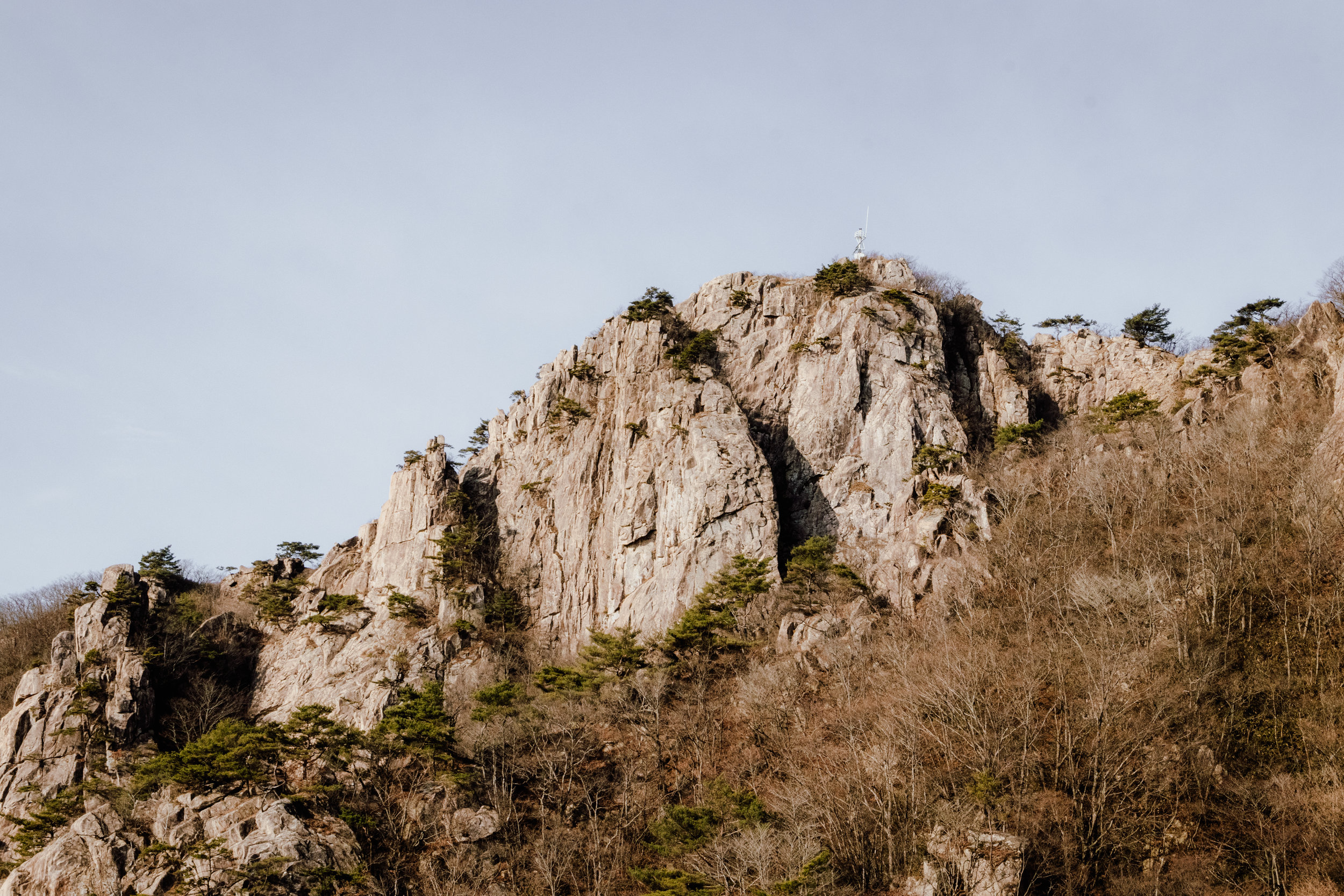 _MG_7944.jpg