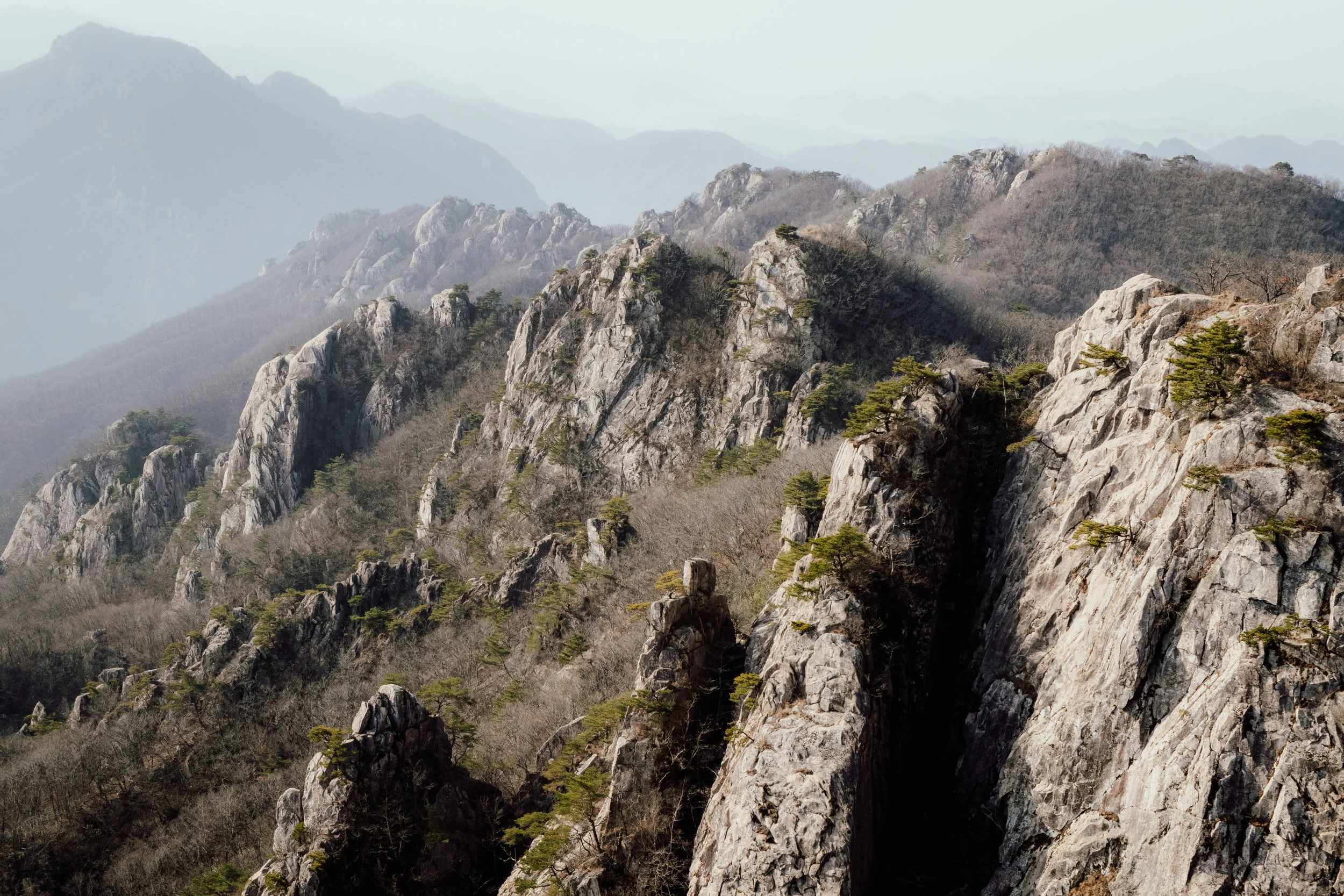 _MG_7959.jpg