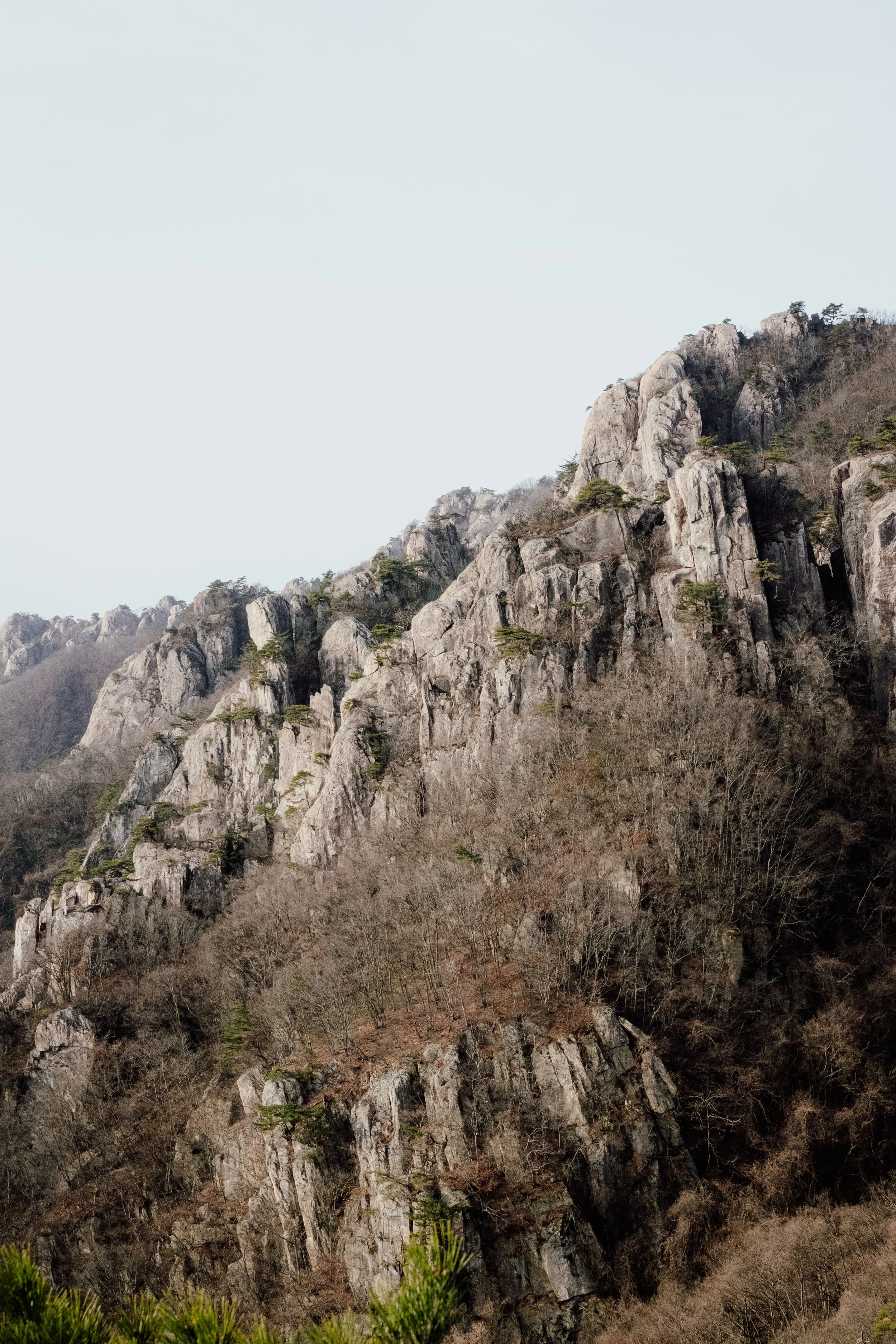 _MG_7925.jpg