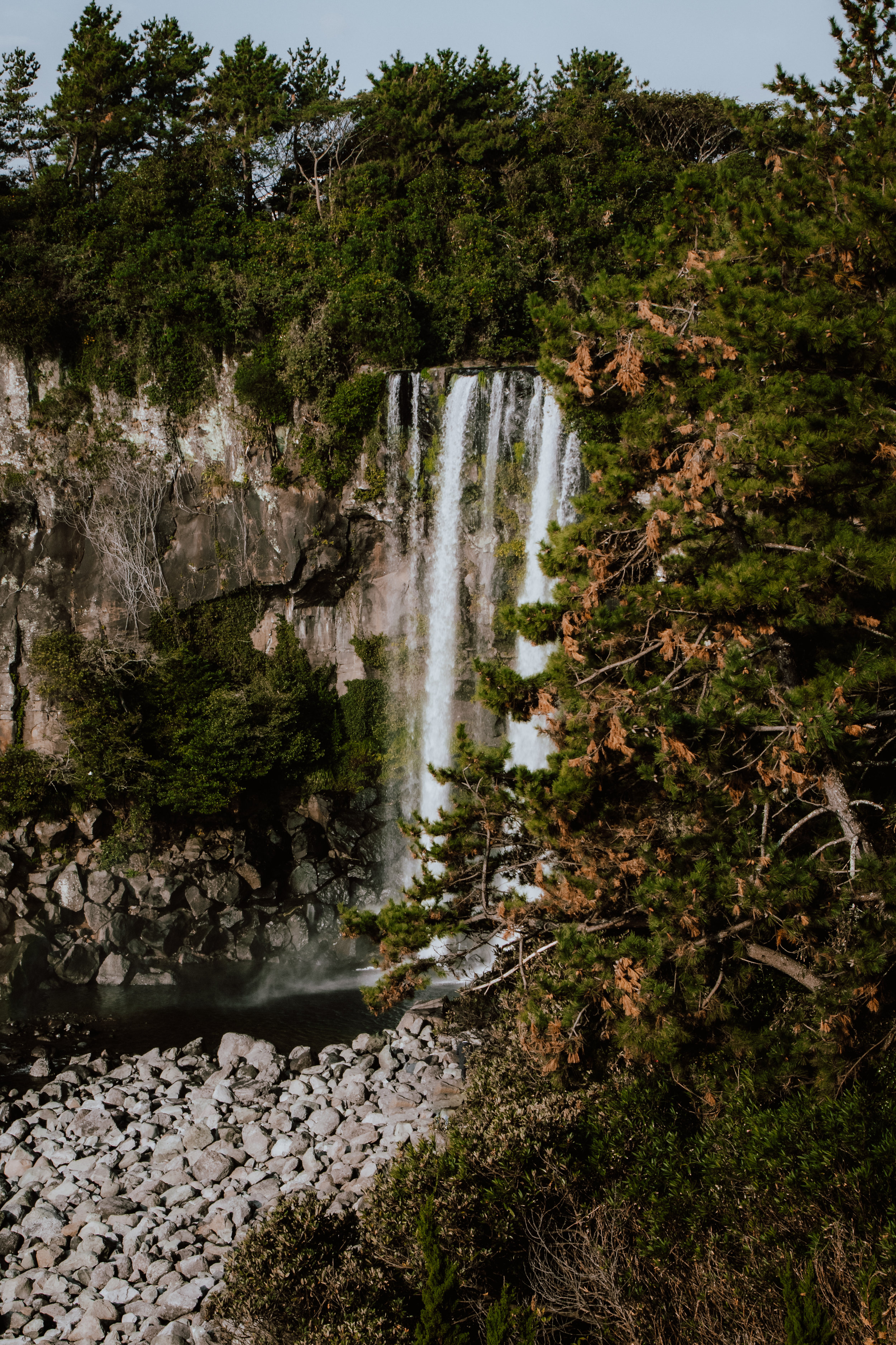 _MG_7815.jpg