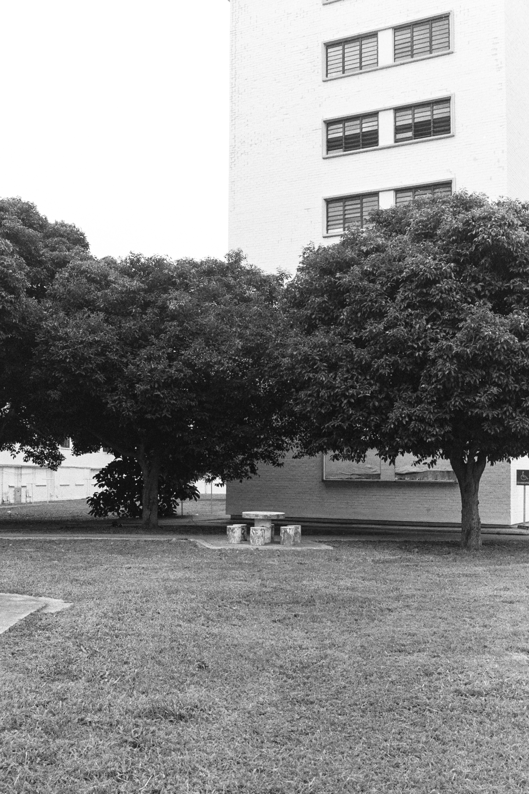 AA008.jpg