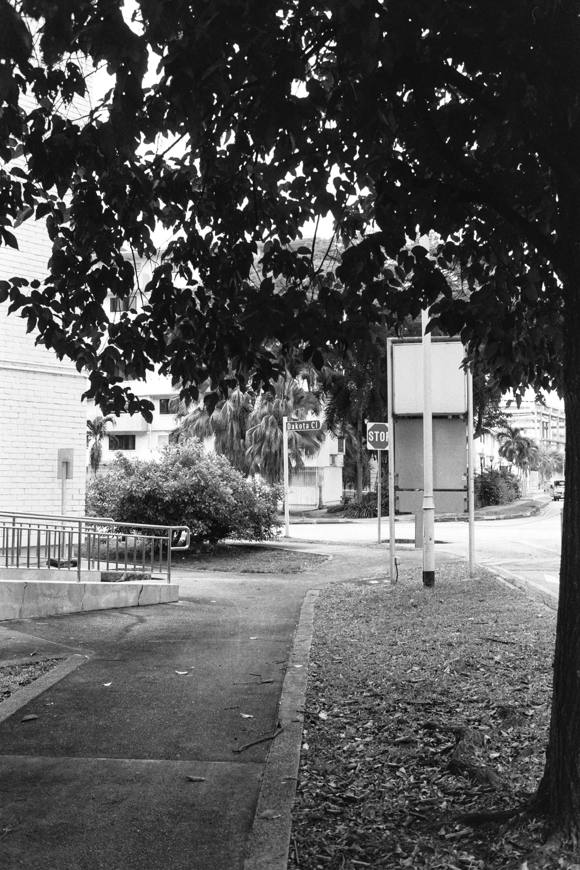 AA003.jpg