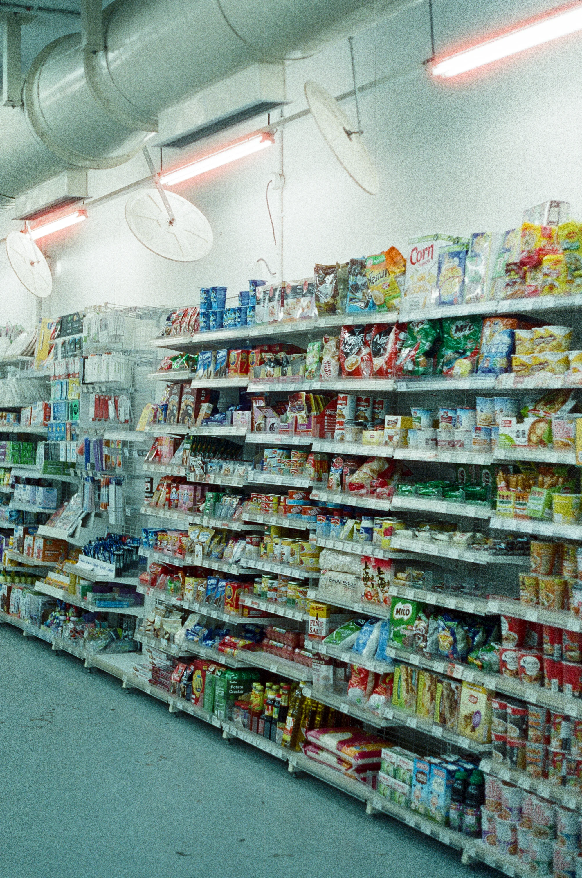 CameraAssembly_Jonas_Cinestill800_27.jpg