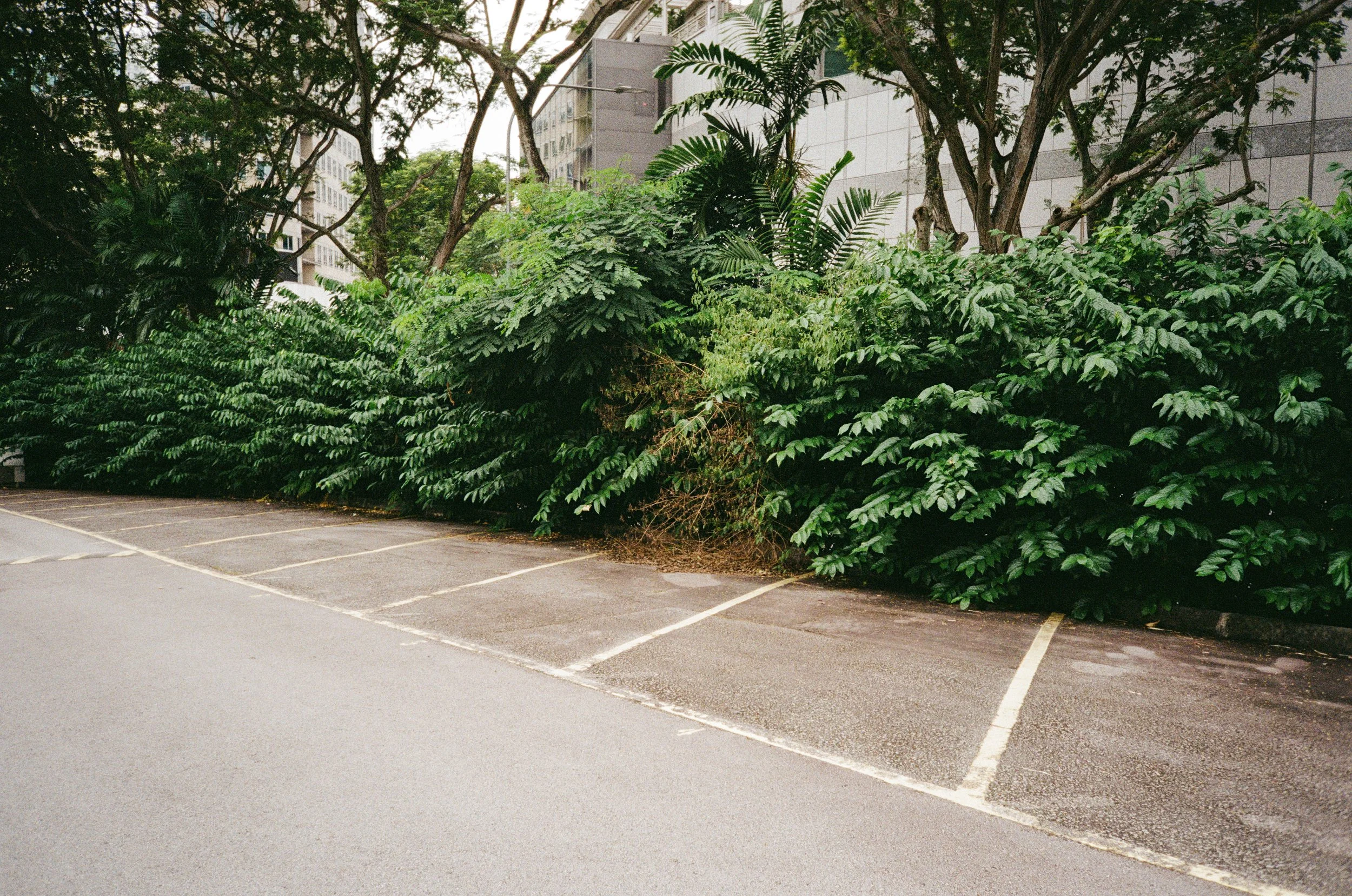 000010740020.jpg