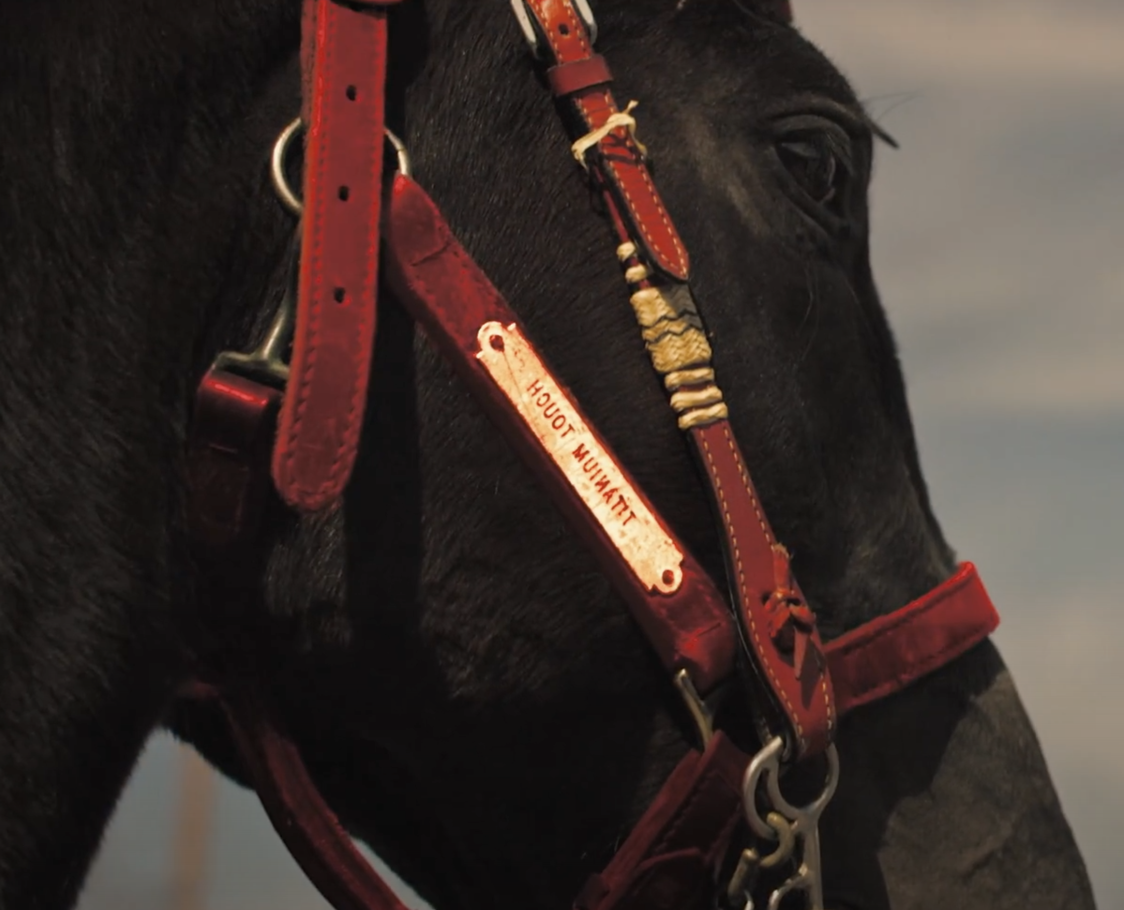 Screenshot 2024-10-10 at 1.21.36 AM.png