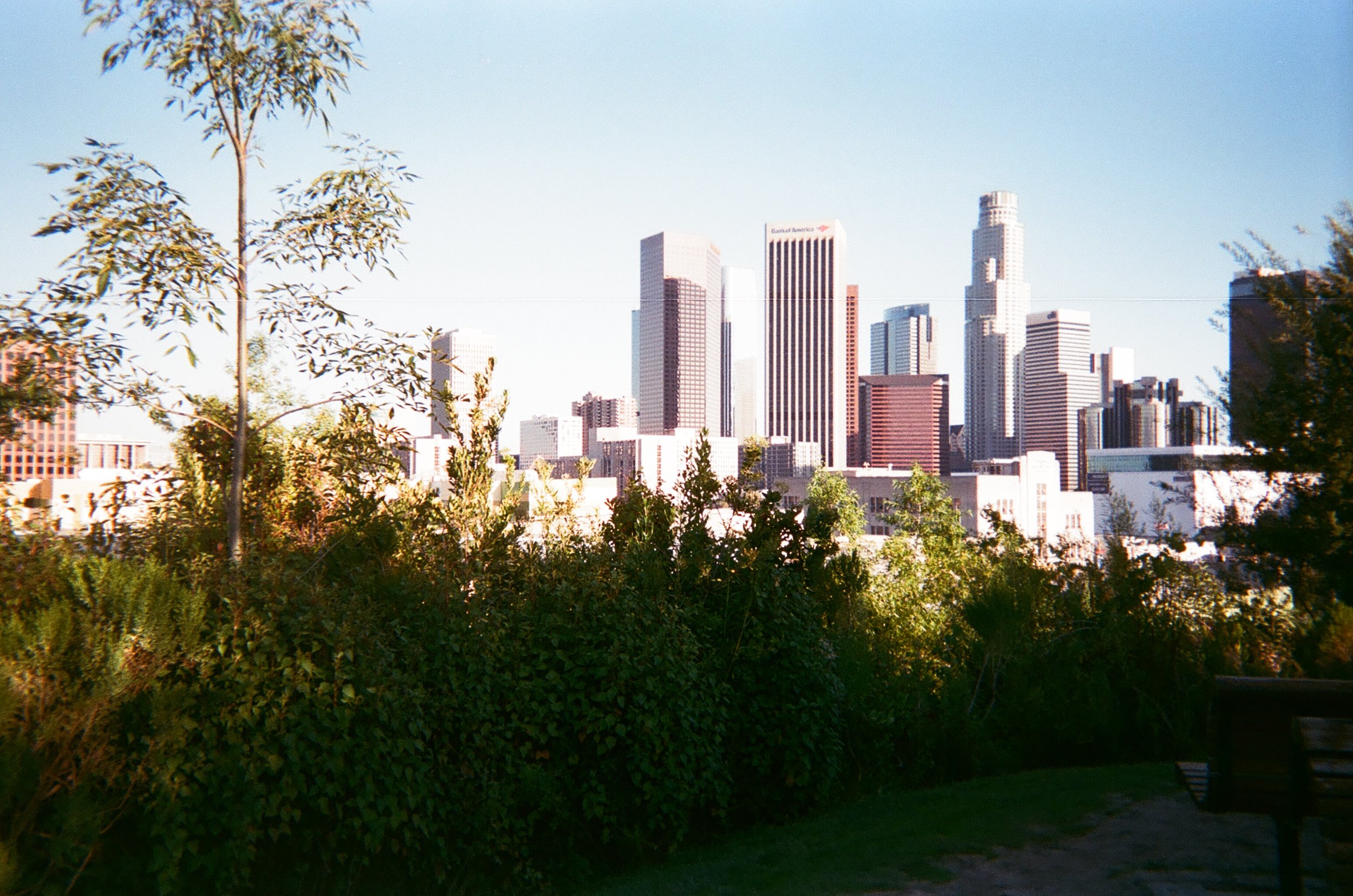 28765424000_5751915c7c_o.jpg