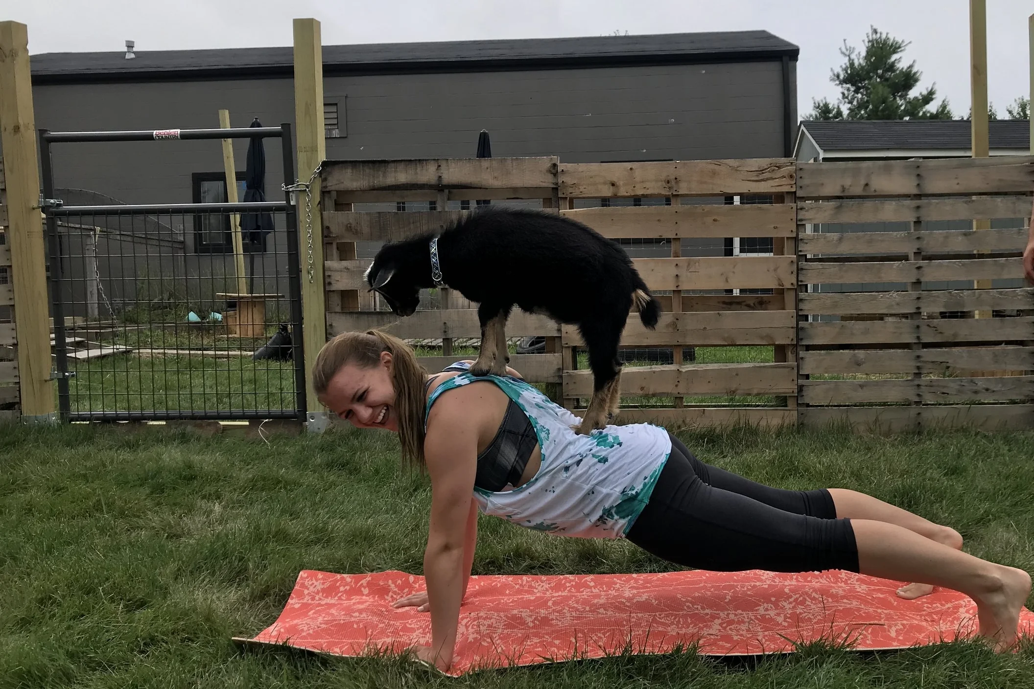 A Discussion of Goat Cheese