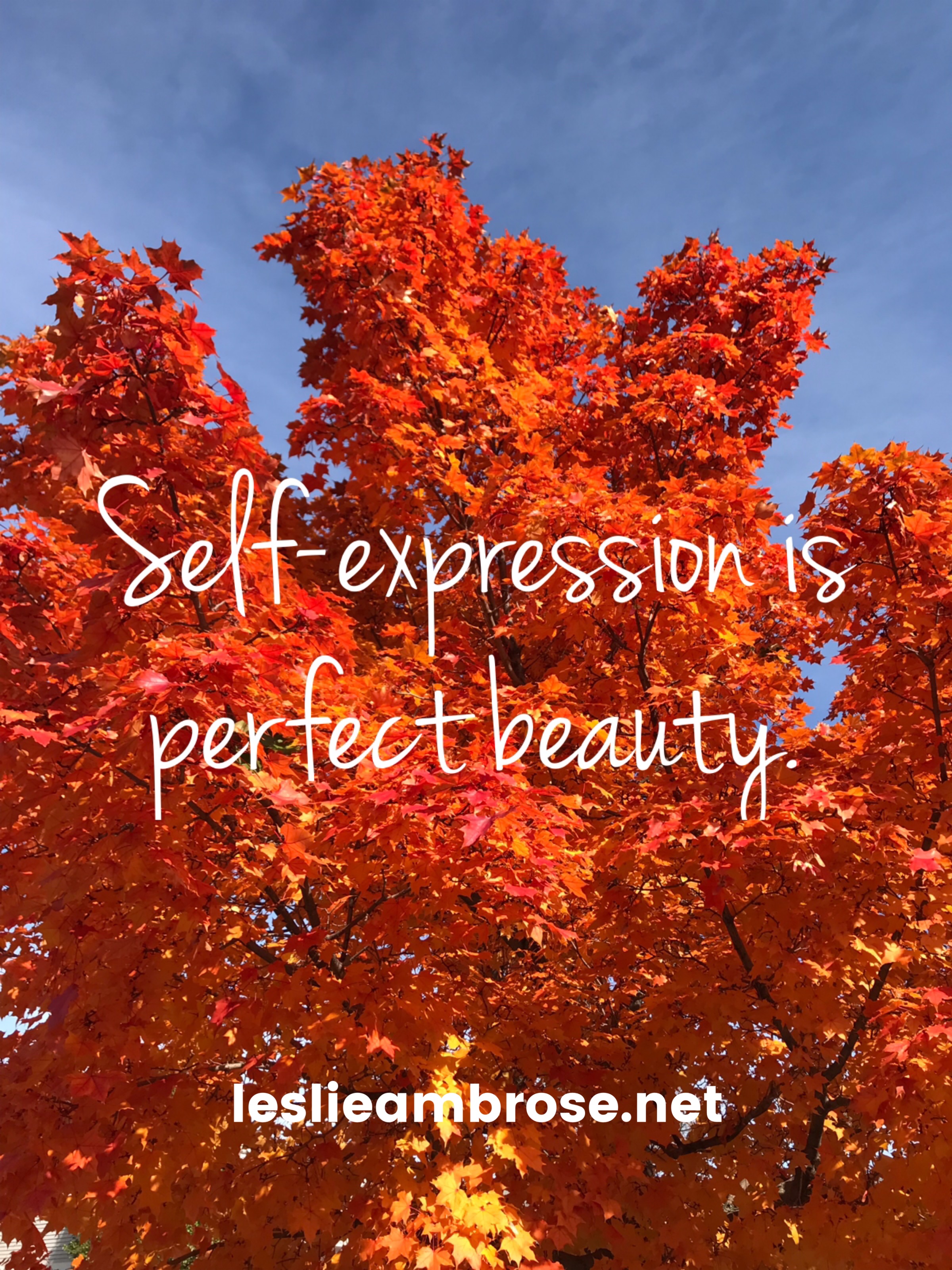 Self-expression Is Perfect Beauty