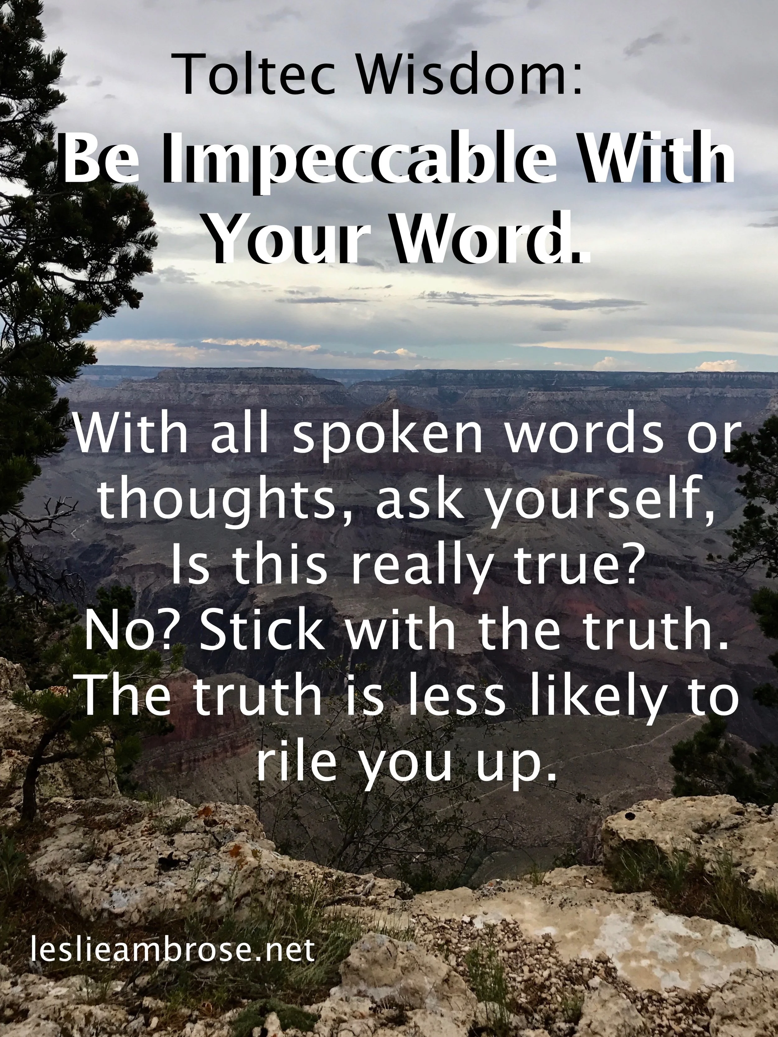 Reflections on a Be Impeccable with Your Word Conversation