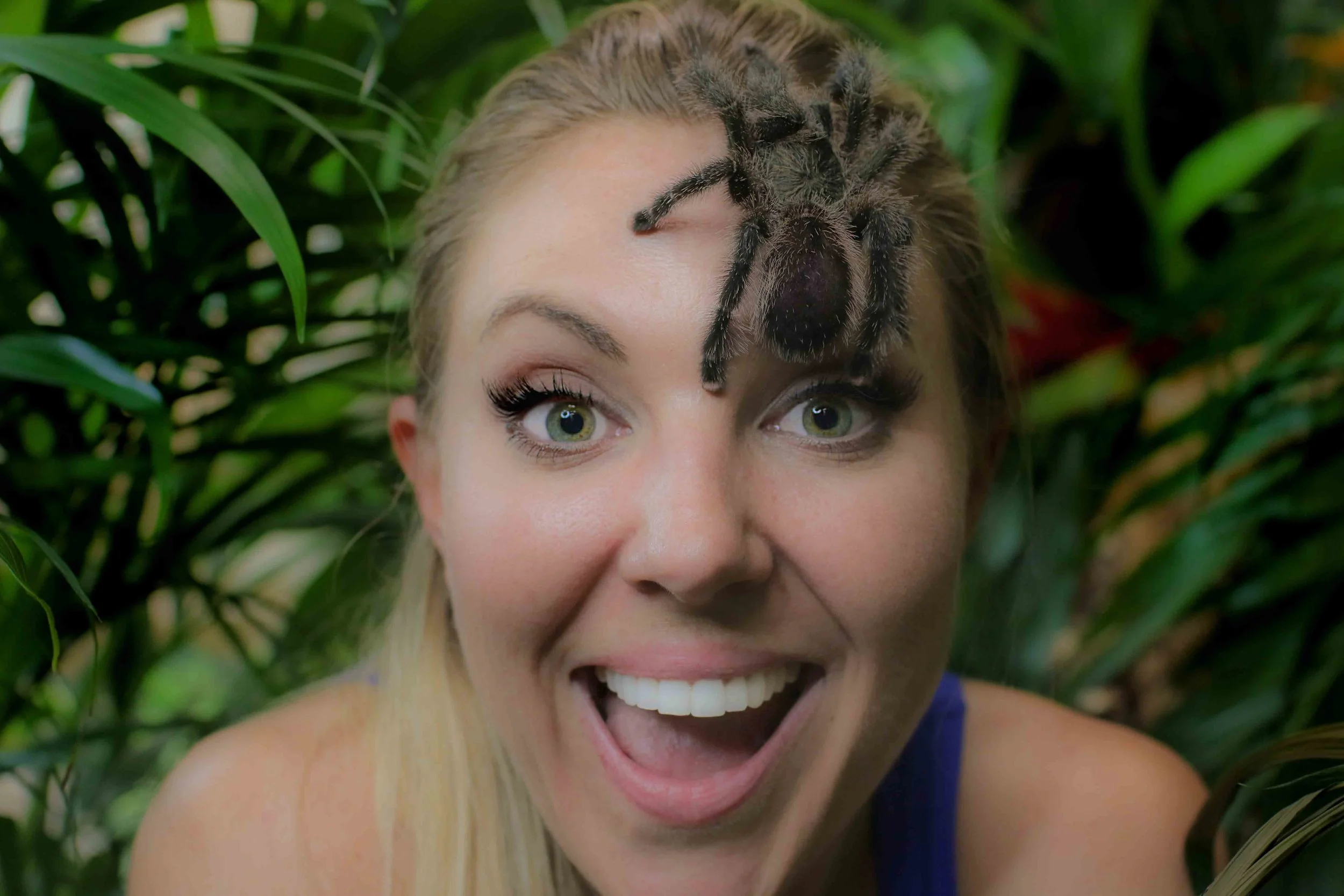 Mallory_tarantula_bright.jpg