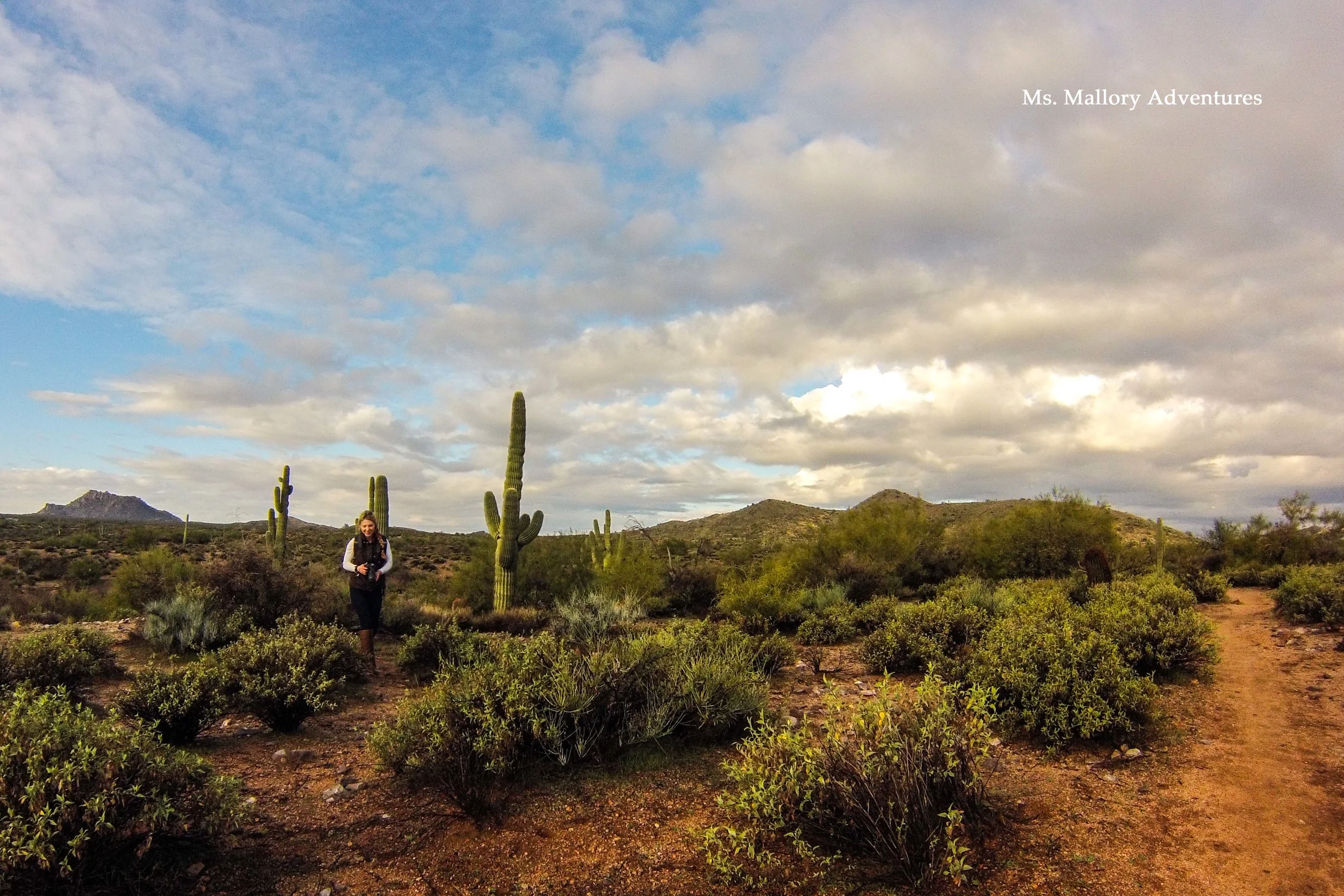 SonoranHike.jpg