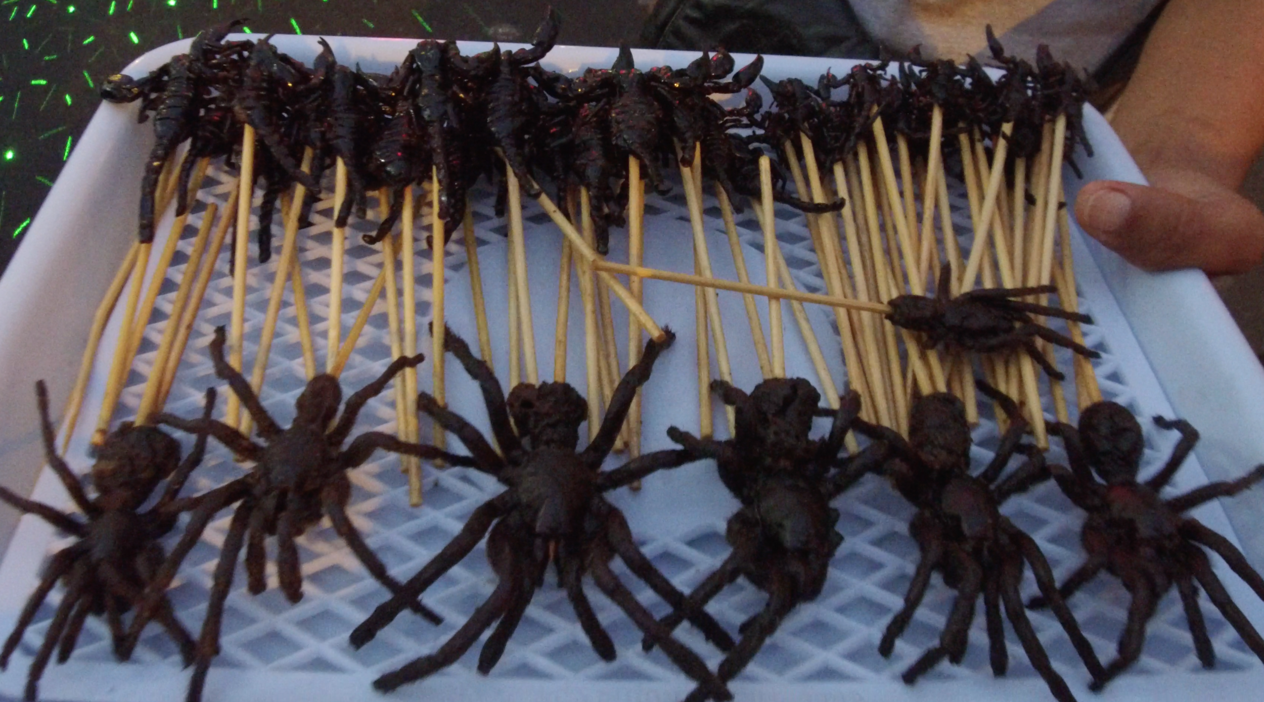 A tray full of fried scorpions and tarantulas in Bangkok, Thailand. Credit Mallory Lindsay