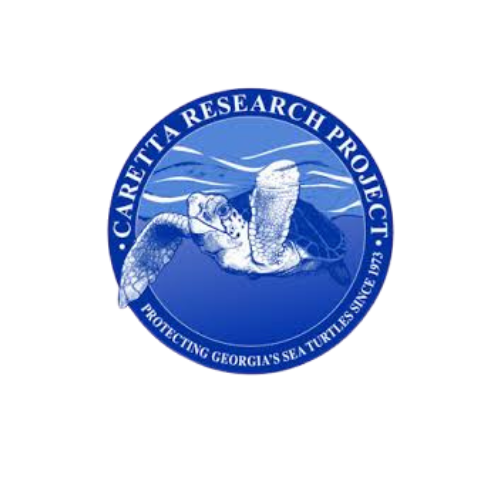 Caretta Research Project (CRP)