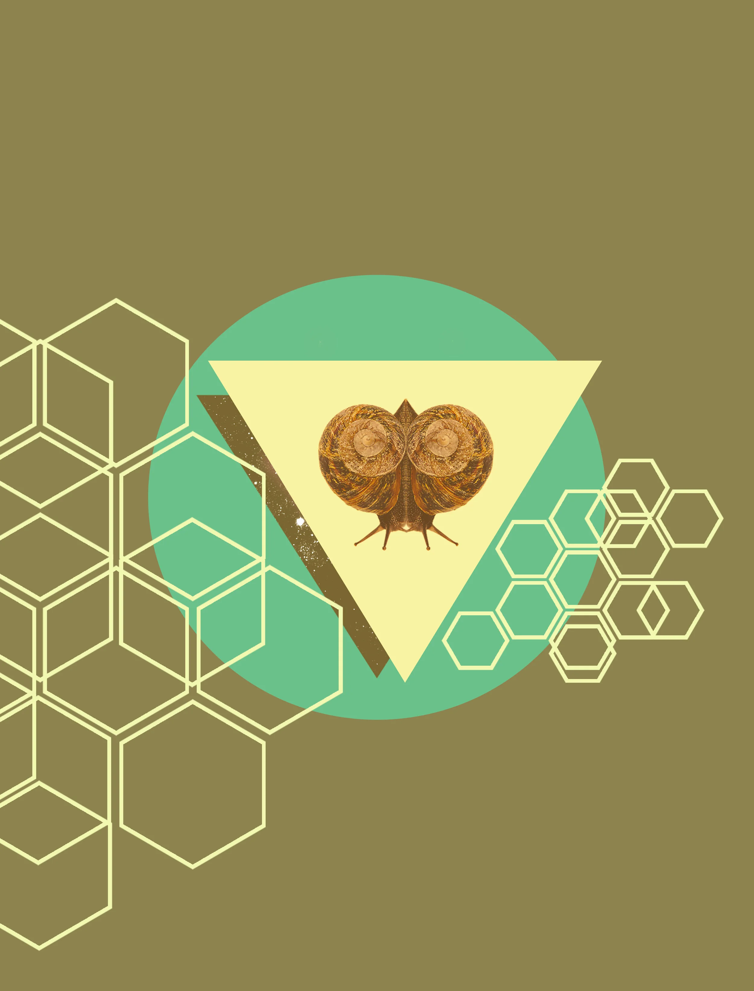 SnailSkyJewel.jpg