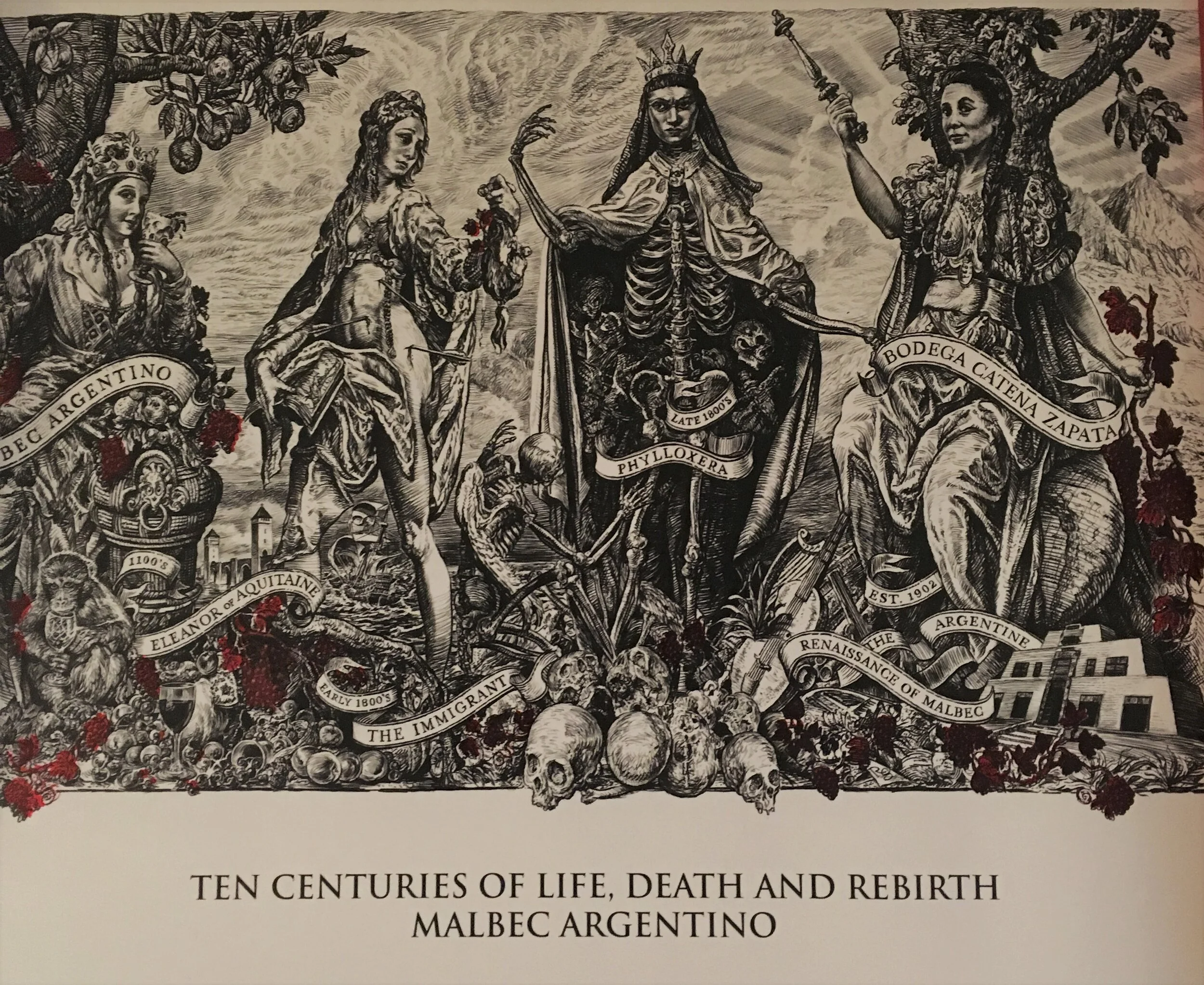 CATENA ZAPATA WINES WITH DR. LAURA CATENA — STORIES OF THE VINE