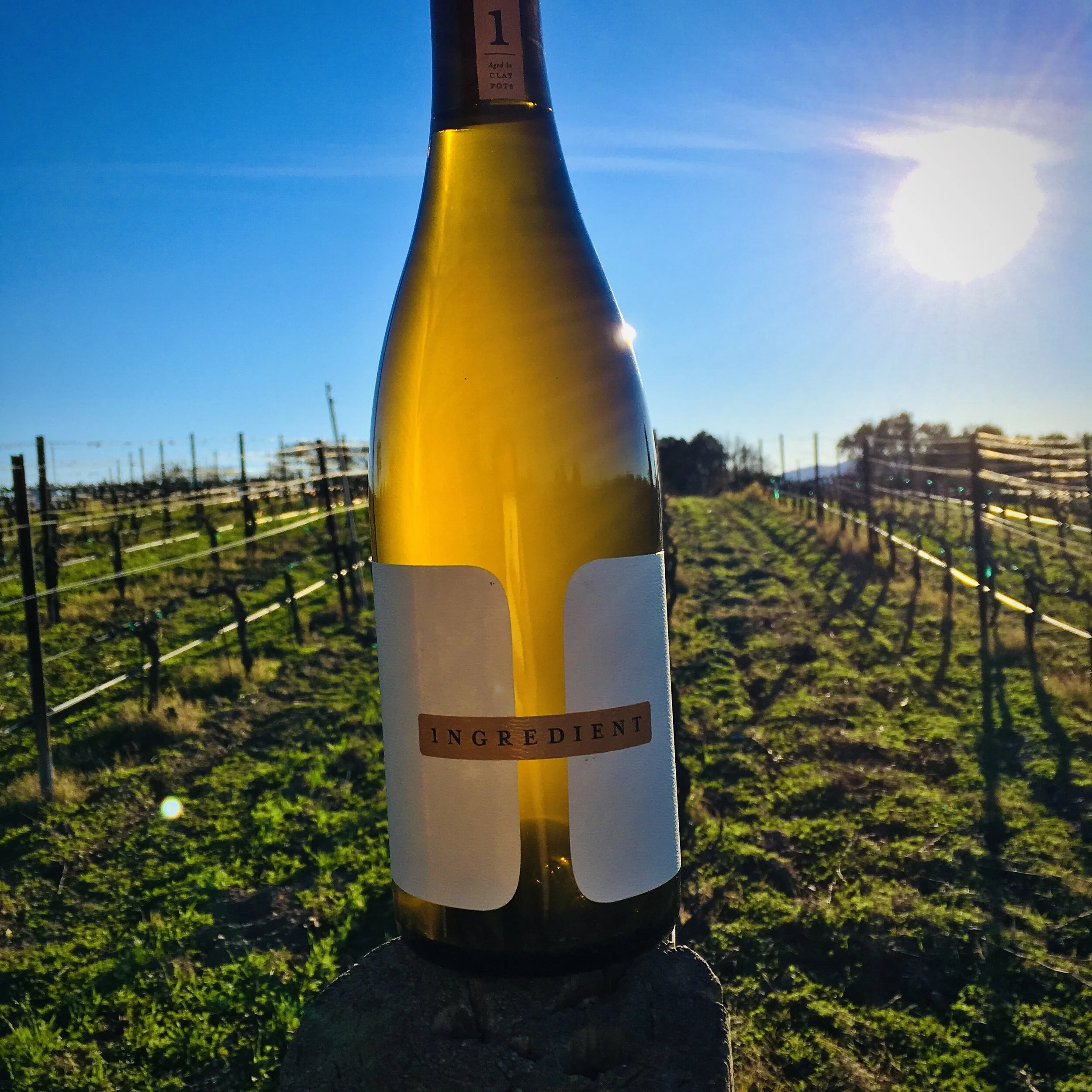 beckmennaturalwine.jpeg