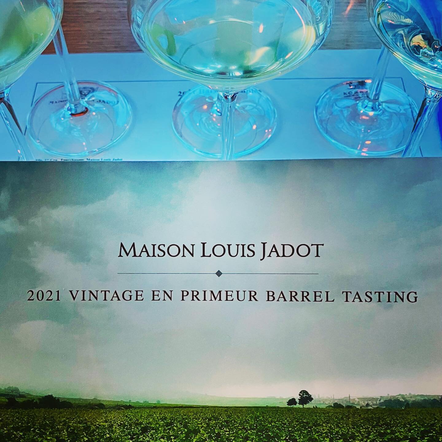 Thank you @louisjadot for a wonderful tasting and overview of the 2021 vintage. The quality of Jadot wines stretches far with 35 individual vineyard sites from which they produce their collection of estate wines. One hidden gem for me was the La Domi