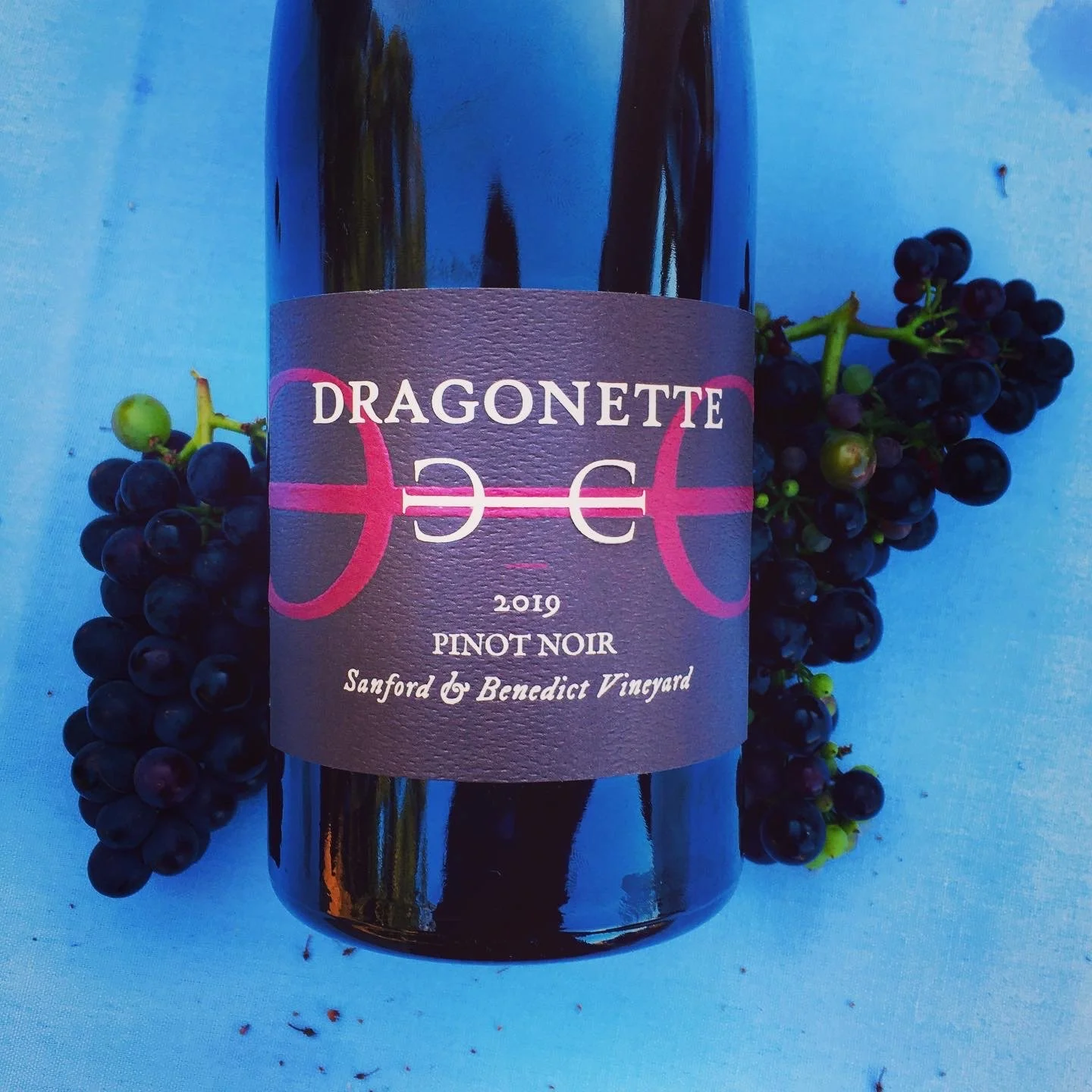 DRAGONETTE PINOT NOIR.JPG
