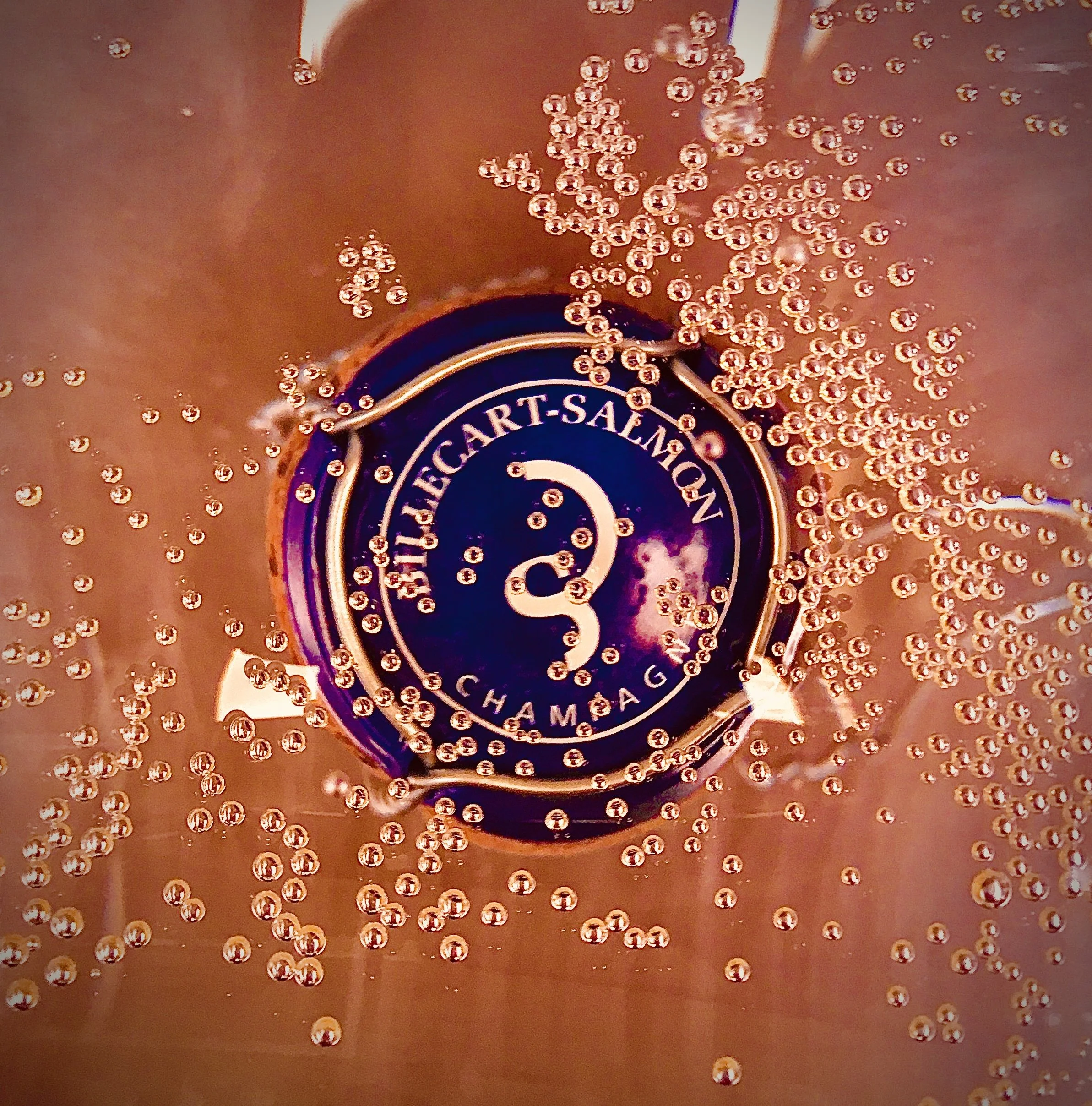 BILLECART-SALMON MEUNIER.JPG