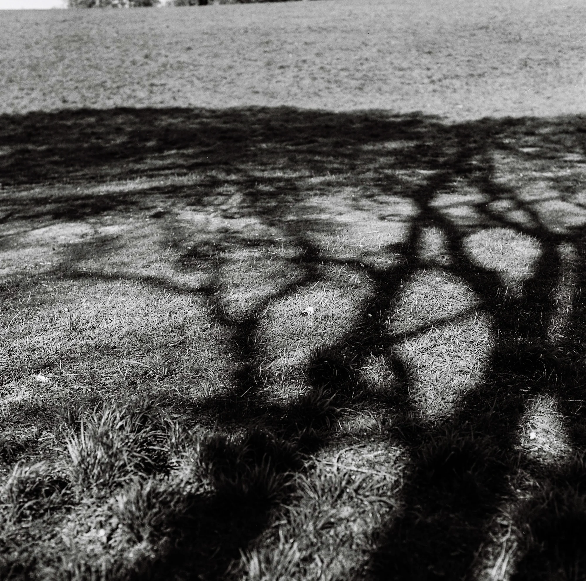 lena_20132017_film_re_ (13 of 18).jpg