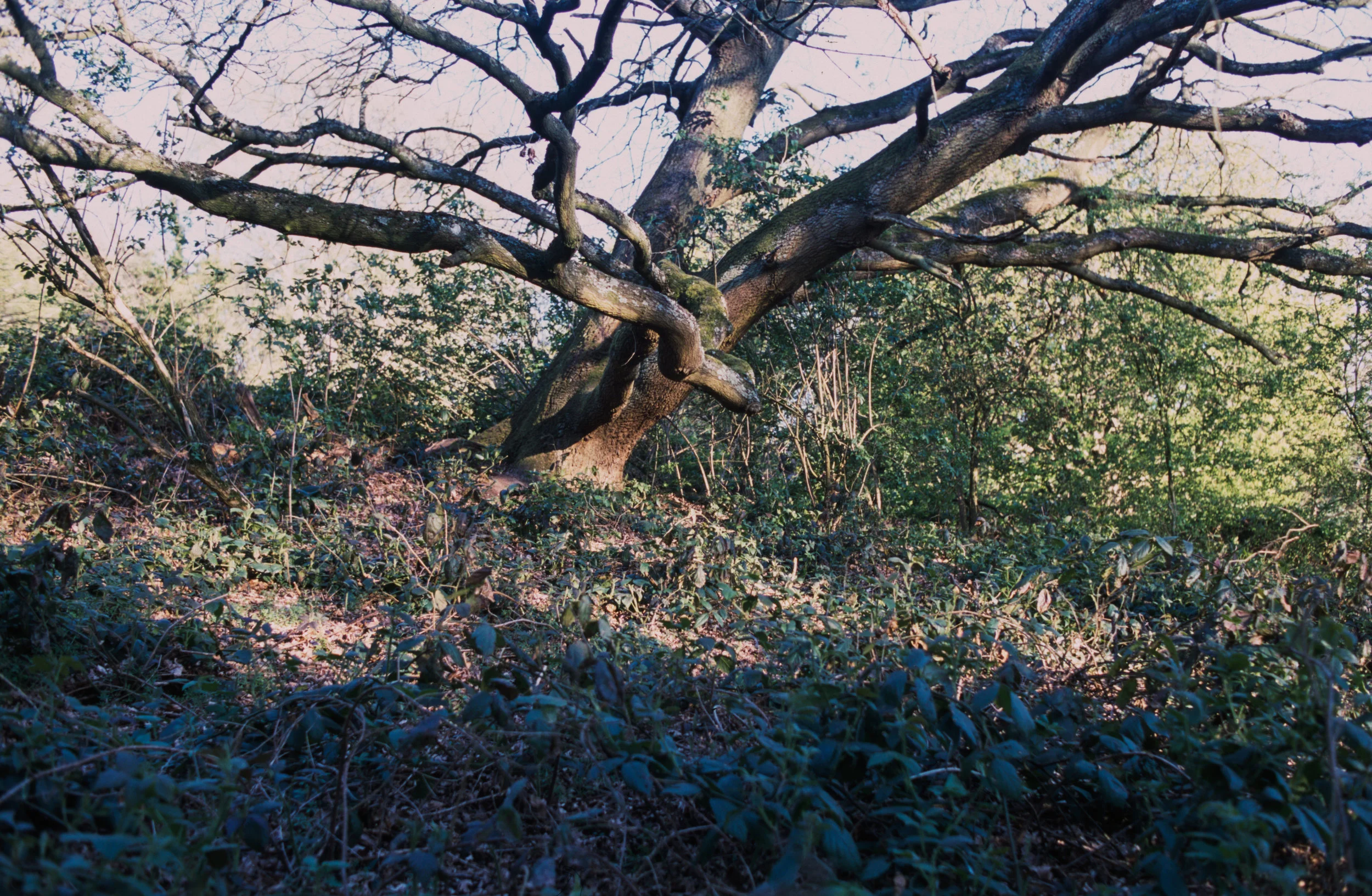 lena_20132017_film_re_ (18 of 18).jpg