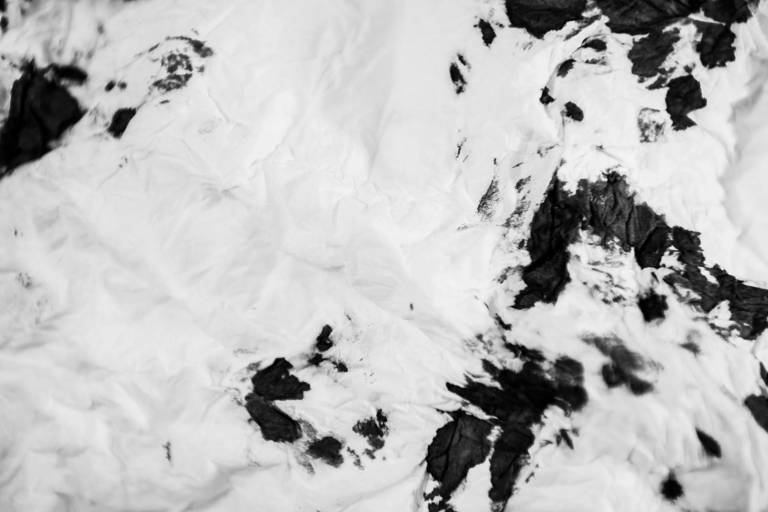 201901_drops_web (26 of 33).jpg