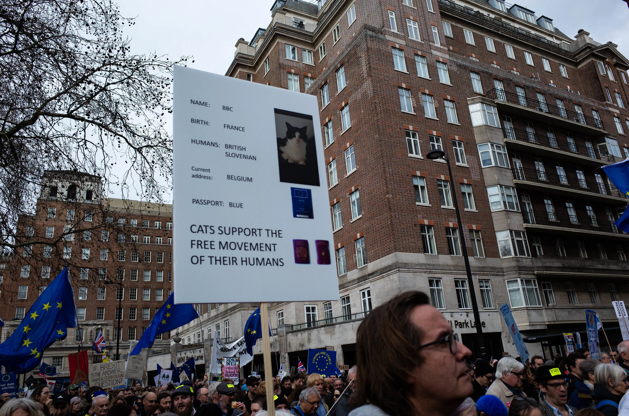 201903_lena_london_brexit_edit (23 of 29).jpg