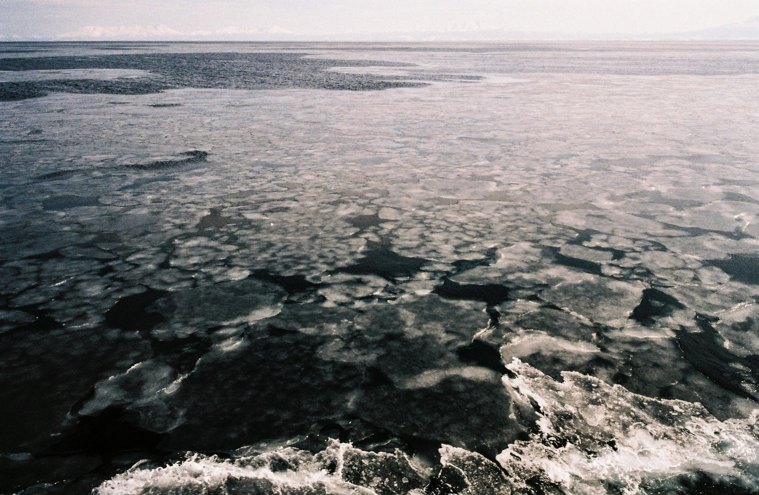 lena_20132017_film_re_+(2+of+18).jpg